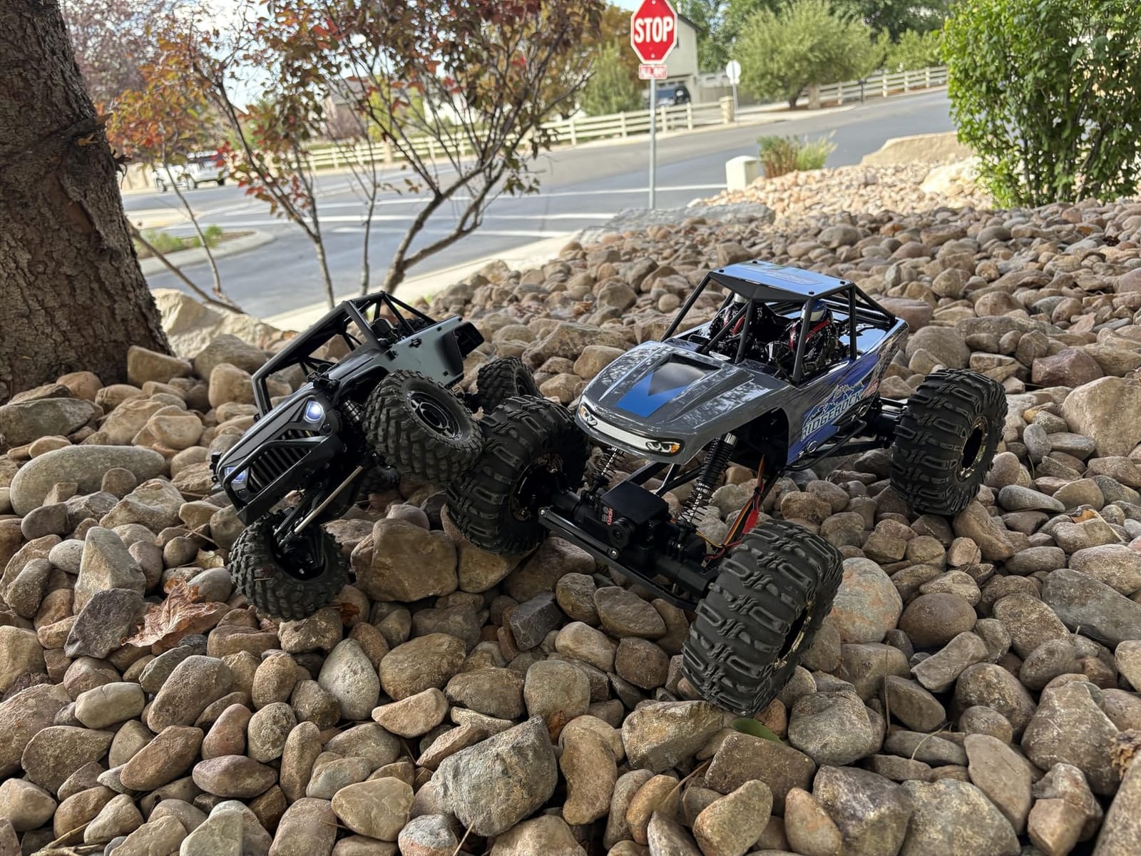 Redcat Racing Danchee Ridgerock 1/10 Scale 4WD Electric RC Rock Crawler – RC Truck RTR with 2.4GHz Radio, Dual Motors, 4-Wheel Steering, USB Charger with RC Crawler Li-ion Battery customer photo 2