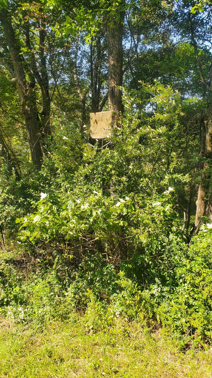 Allen Company Vanish Hunting Blind customer photo 1