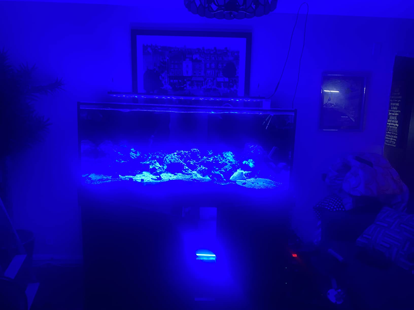 Empire USA Starfire Glass Aquarium 60x24x24 Inch 150 Gallon | Large 150-gallon aquarium, 60x24x24-inch, made with high-clarity Starfire glass for a crystal-clear viewing experience. customer photo 1
