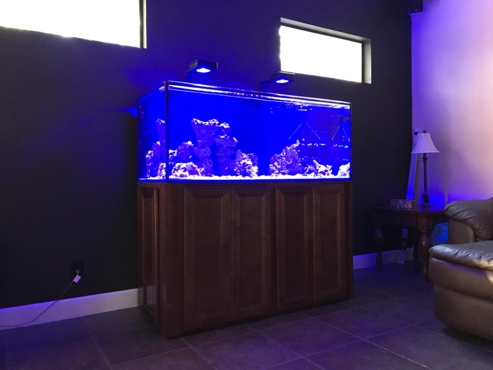 Empire USA Starfire Glass Aquarium 60x24x24 Inch 150 Gallon | Large 150-gallon aquarium, 60x24x24-inch, made with high-clarity Starfire glass for a crystal-clear viewing experience. customer photo 2
