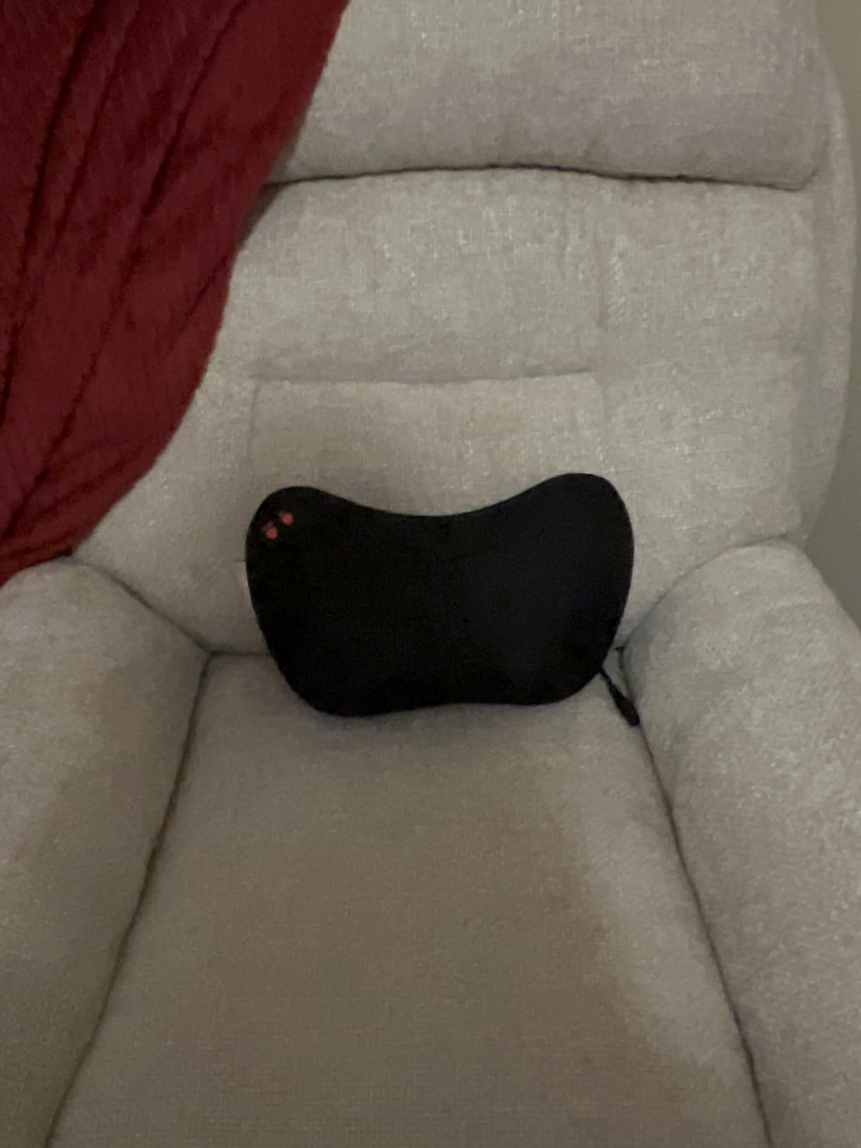 Papillon Back Massager with Heat,Shiatsu Pillow for Body Pain Relief Gray customer photo 1