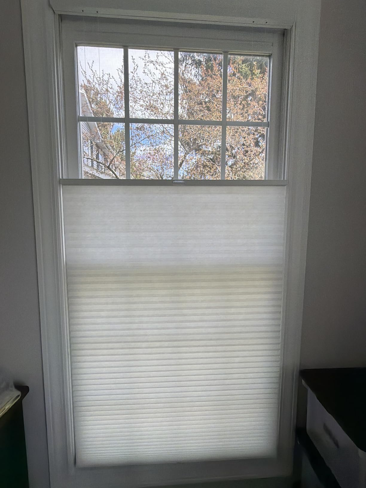Arlo Blinds White Light Filtering Top Down Bottom Up Deluxe Cordless Cellular Shades - Size: 34