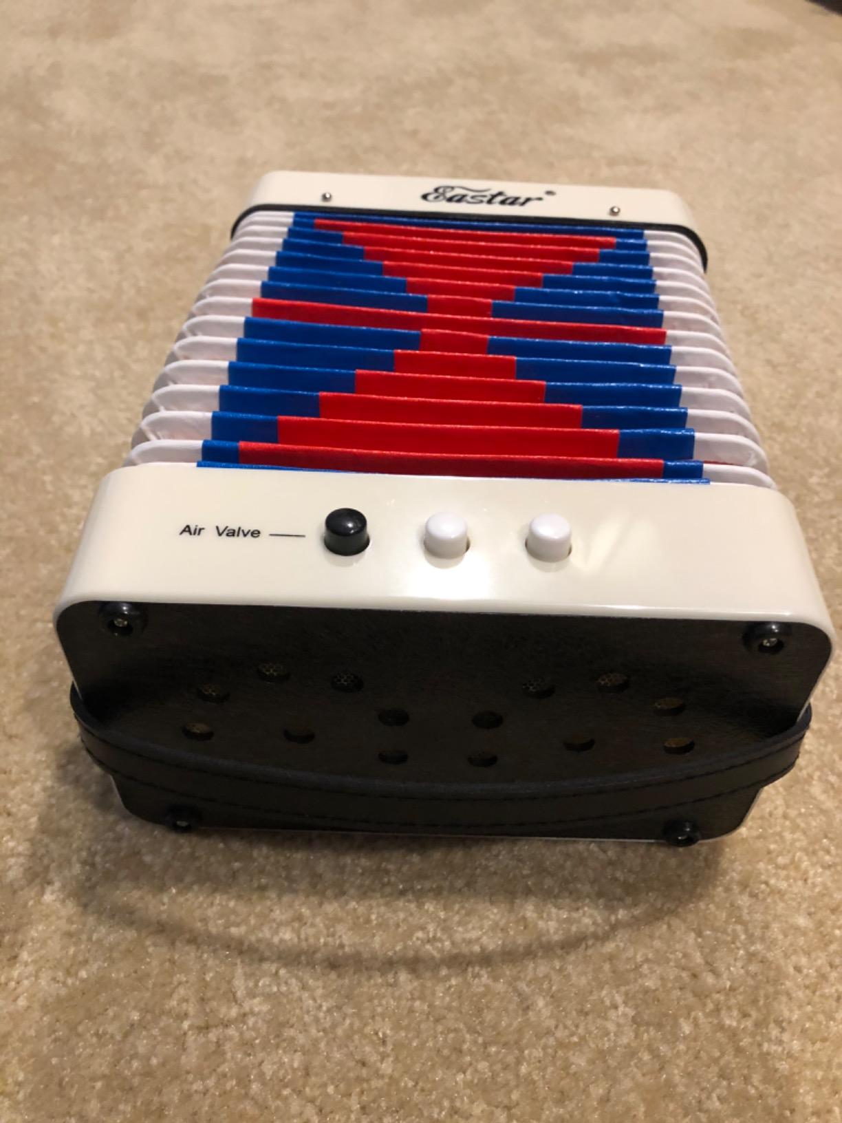 Eastar Kids Accordion Toy Accordion Mini Musical Instruments 10 Keys Button for Children Kids Toddlers Beginners (White) customer photo 1