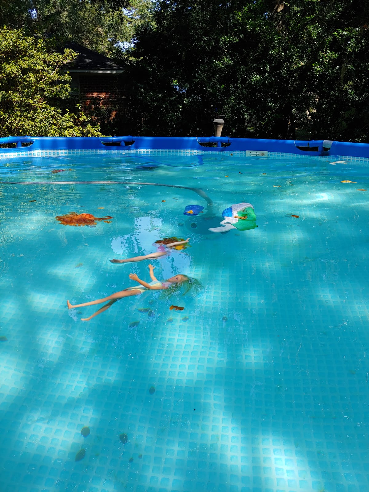Wanda the Whale Automatic Pool Cleaner for Above Ground Pools | W3900 Suction Pool Cleaner for On-Ground/Above-Ground Swimming Pools | Easy installation in less than 10 minutes 32 ft hose customer photo 1