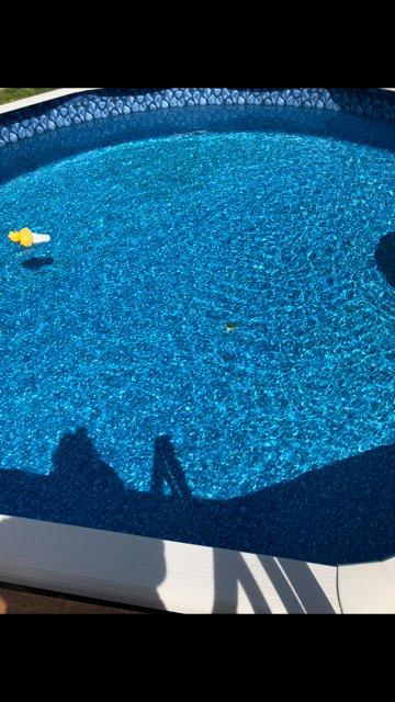 Wanda the Whale Automatic Pool Cleaner for Above Ground Pools | W3900 Suction Pool Cleaner for On-Ground/Above-Ground Swimming Pools | Easy installation in less than 10 minutes 32 ft hose customer photo 2