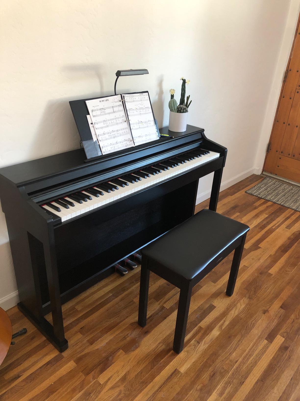 Donner DDP-100 88-Key Weighted Action Digital Piano for Beginner Bundle with Piano Keyboard Stand, Power Adapter, Triple Pedals, MP3 Function, USB-MIDI, 2 Headphone Jacks Black customer photo 1