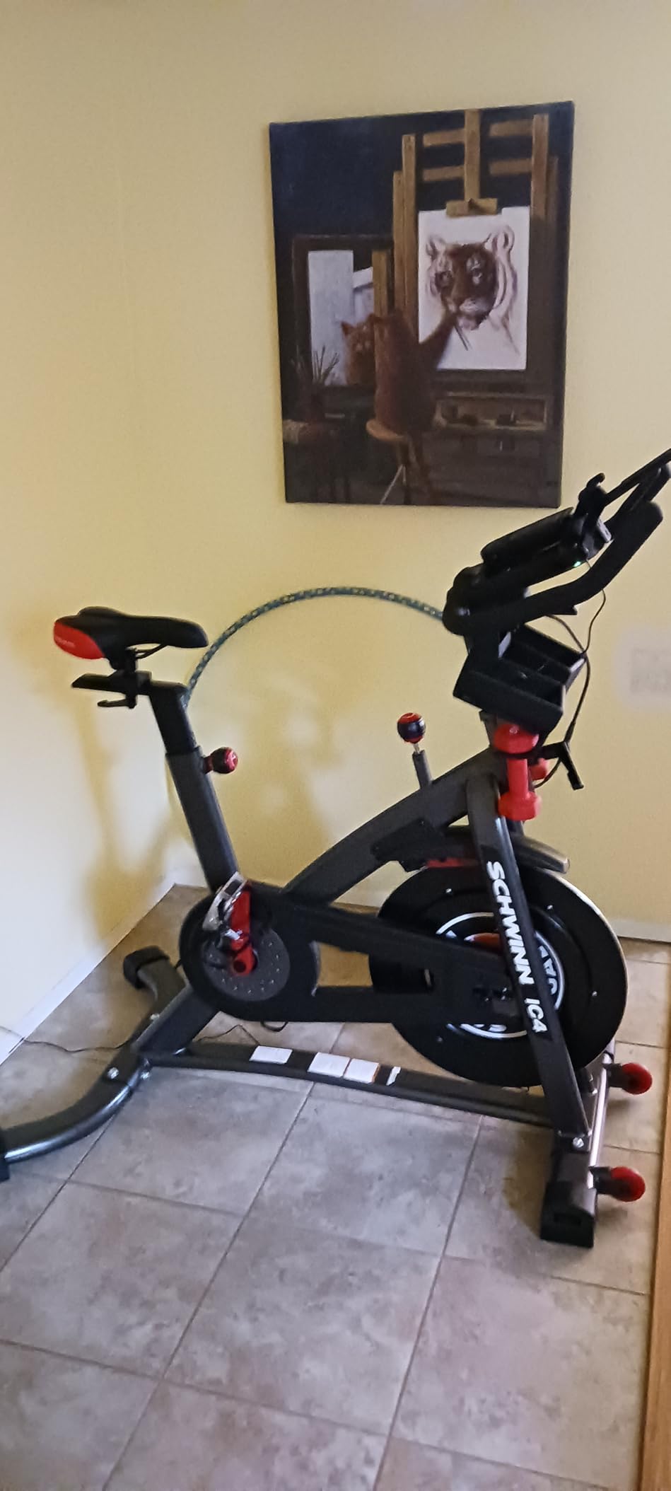 Schwinn Fitness IC Indoor Cycling Bike Series customer photo 1