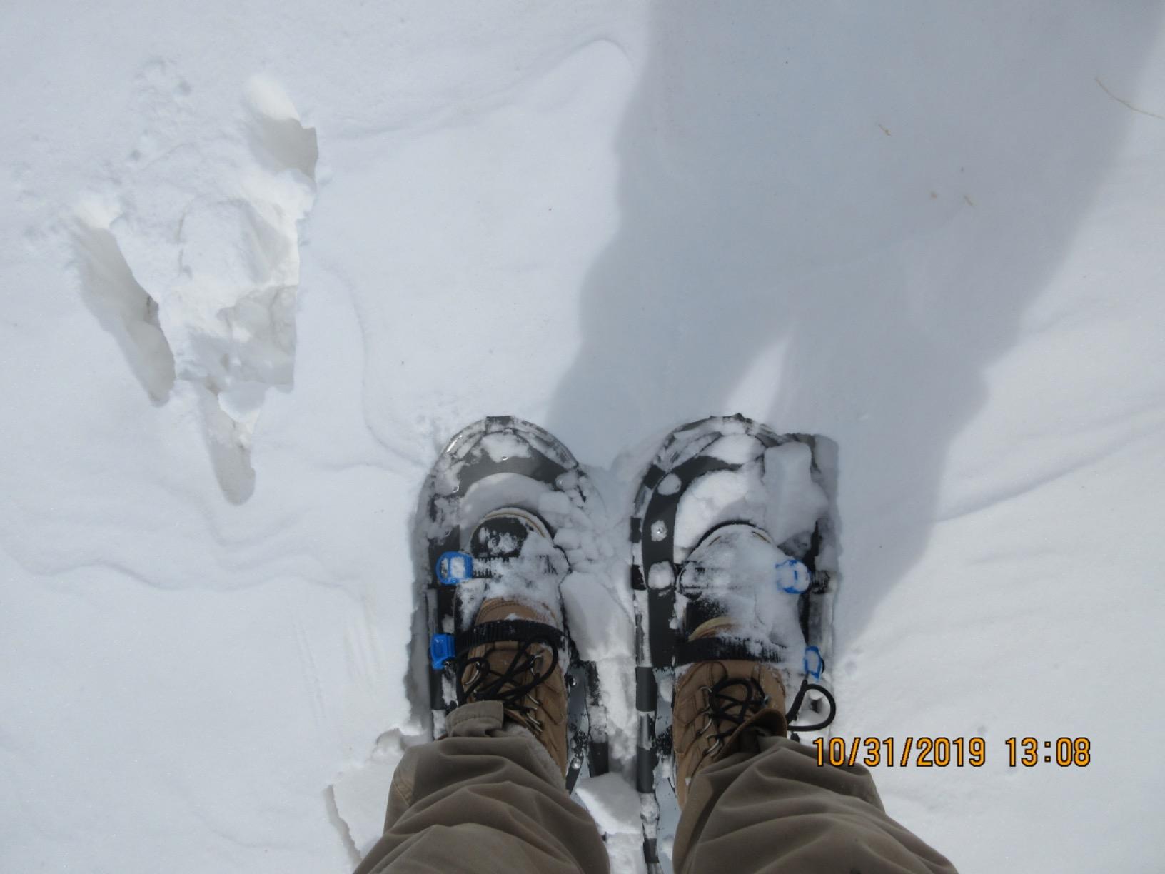 Franklin Sports Arctic Trails Snowshoes for Men + Women - Lightweight Aluminum Snowshoes for Adults customer photo 1
