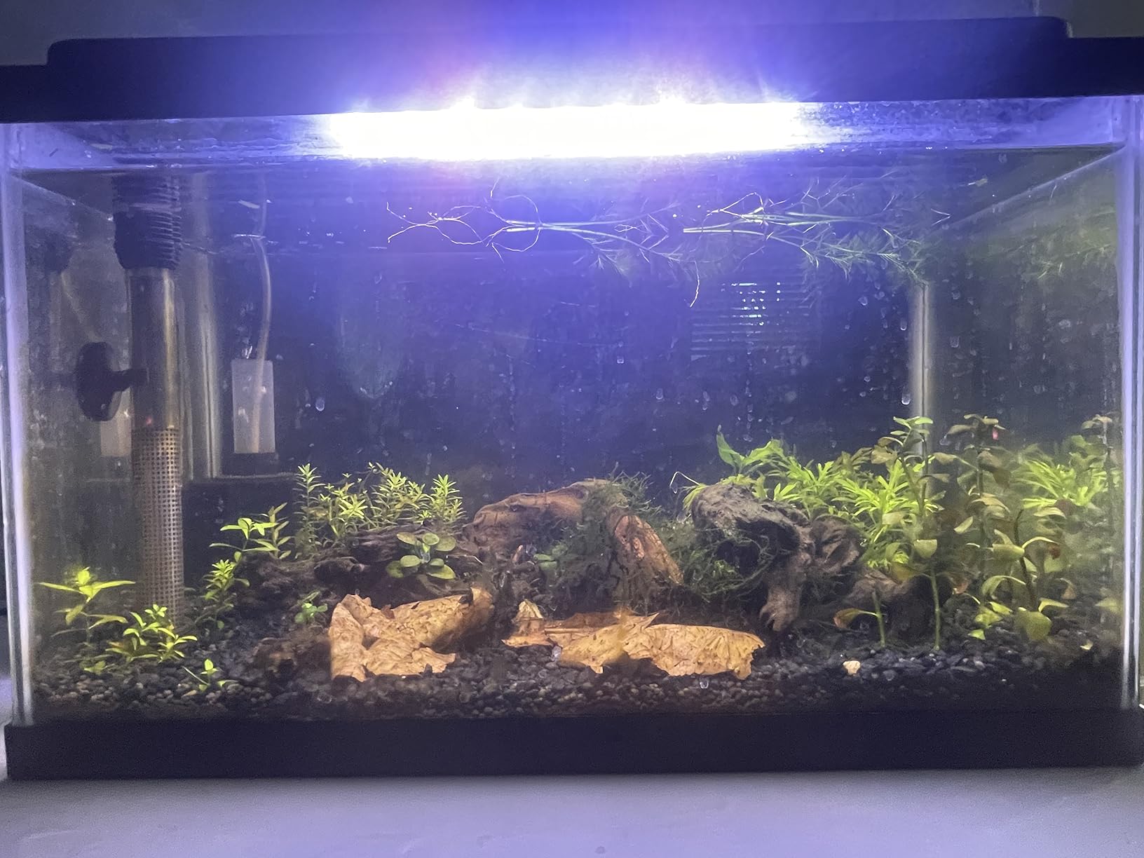 hygger 14W Full Spectrum Aquarium Light with Aluminum Alloy Shell Extendable Brackets, White Blue Red LEDs, External Controller, for Freshwater Fish Tank (18-24 inch) customer photo 2