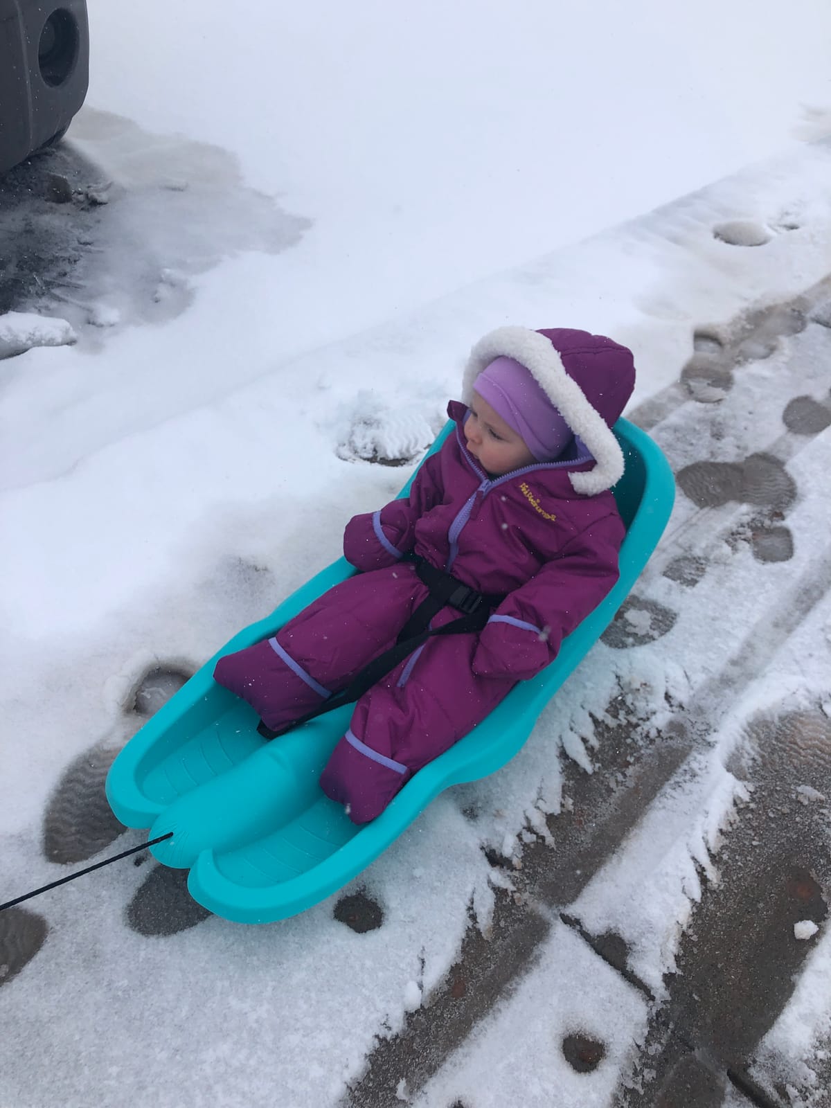 Gizmo Riders Baby Rider, Toddler Sled - 3-Point Harness, Anti-Slip Seat, Retractable Tow Strap, Durable Plastic, Ideal for 6 Months to 3 Years, Supports Up to 55 lbs, Winter Fun for Little Ones customer photo 2