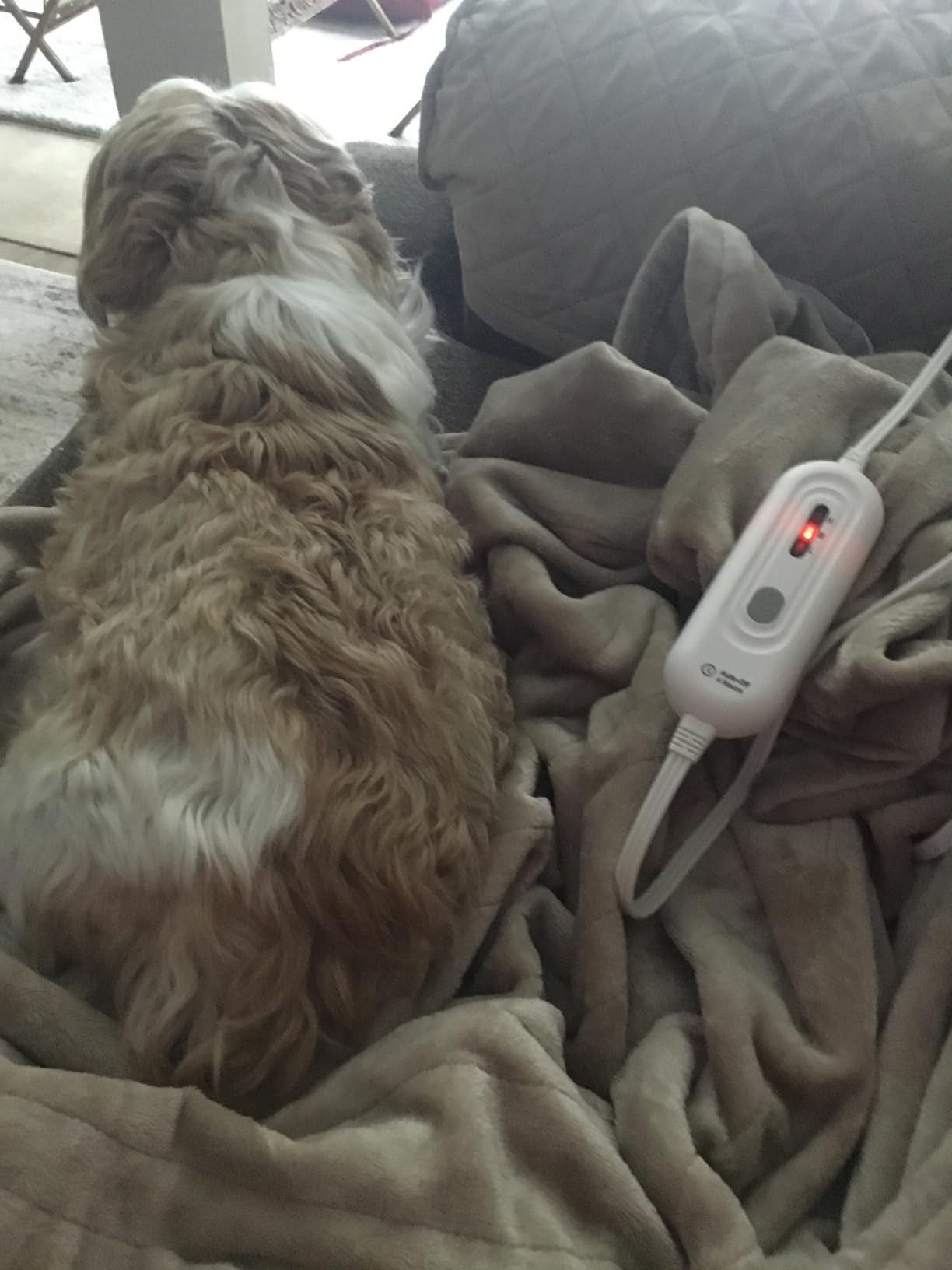 Tefici Heated Blanket Throw,Ultra Soft 2-Layer Flannel Electric Blanket customer photo 2