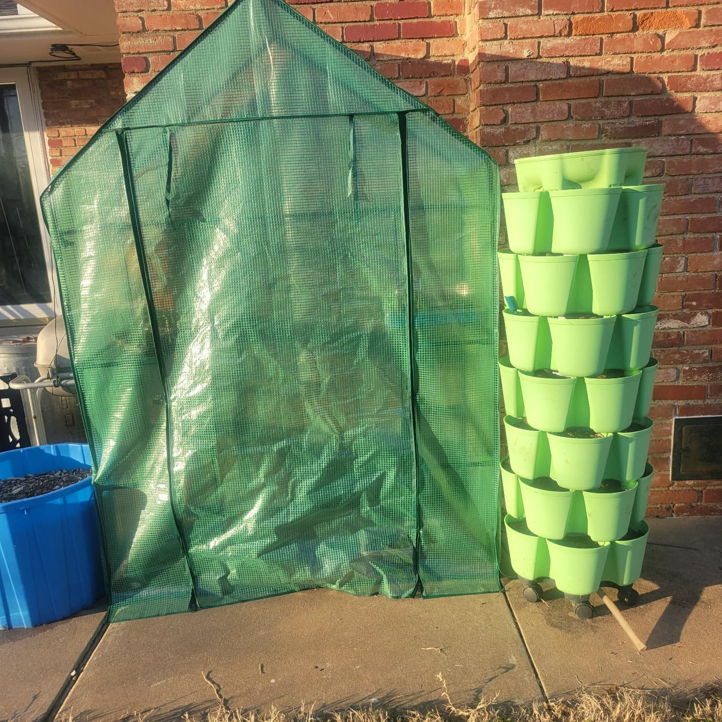 Portable Walk-in Greenhouse for Outdoors, 56x30x76 Plant House with Shelves customer photo 1