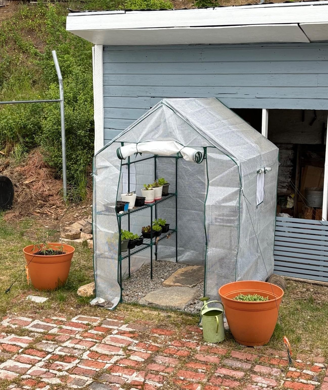 56x30x76 Mini Walk-in Greenhouse, Portable Plant House with 3-Tier Shelves customer photo 2