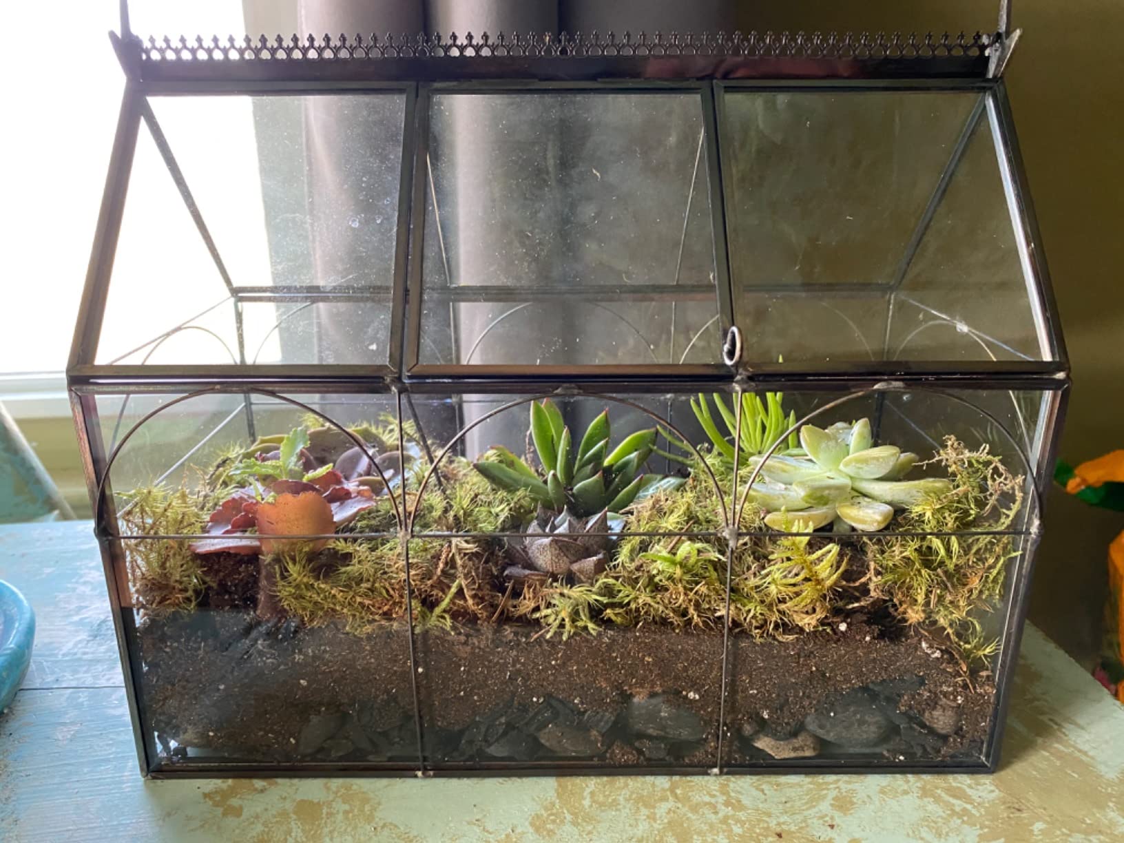 D'Eco Glass Greenhouse Plant Terrarium, Centerpiece & Wedding Letterbox customer photo 1