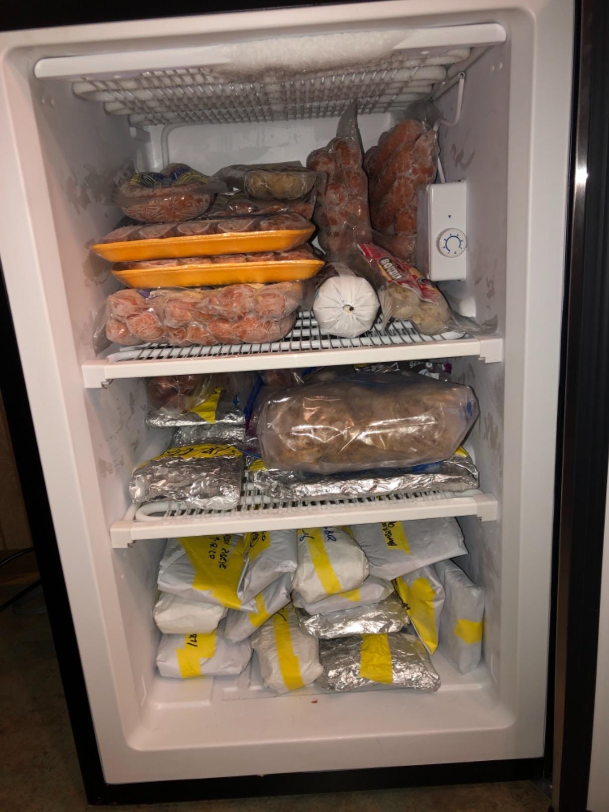 Kismile Small Freezer Upright, 3.0 Cu.ft Mini Freezer, Stainless Steel customer photo 1