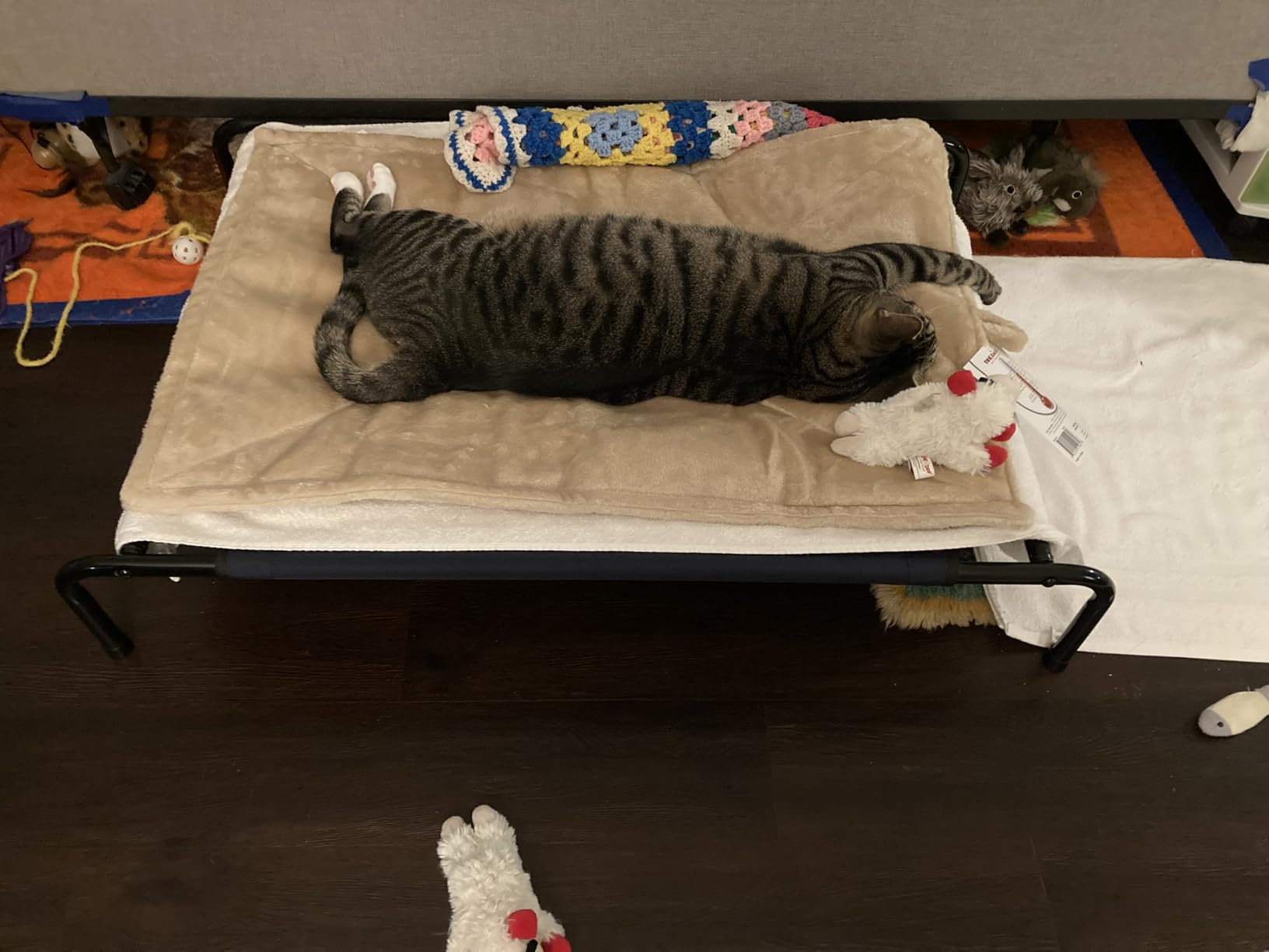 Furhaven ThermaNAP Self-Warming Cat & Dog Bed, Quilted Faux Fur Reflective Bed Mat, Washable, Gray, Large customer photo 1