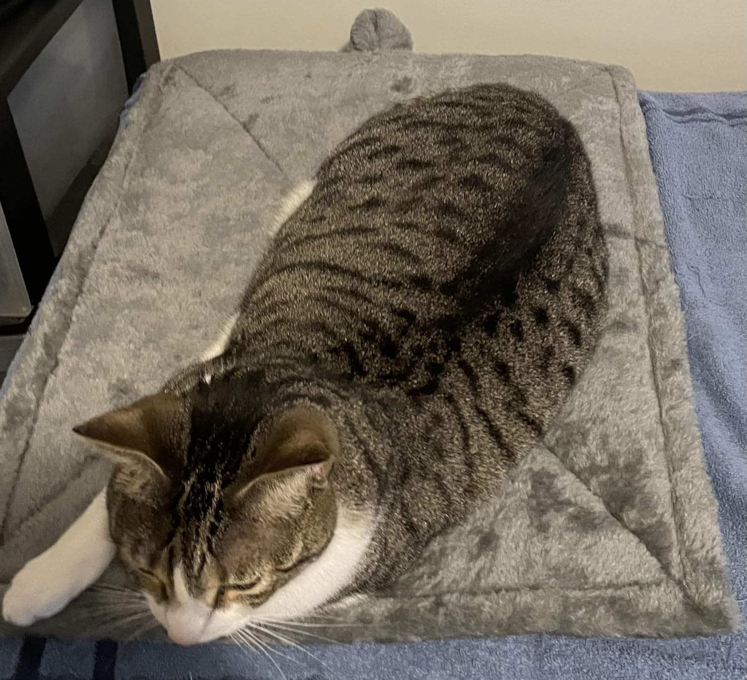 Furhaven ThermaNAP Self-Warming Cat & Dog Bed, Quilted Faux Fur Reflective Bed Mat, Washable, Gray, Large customer photo 2