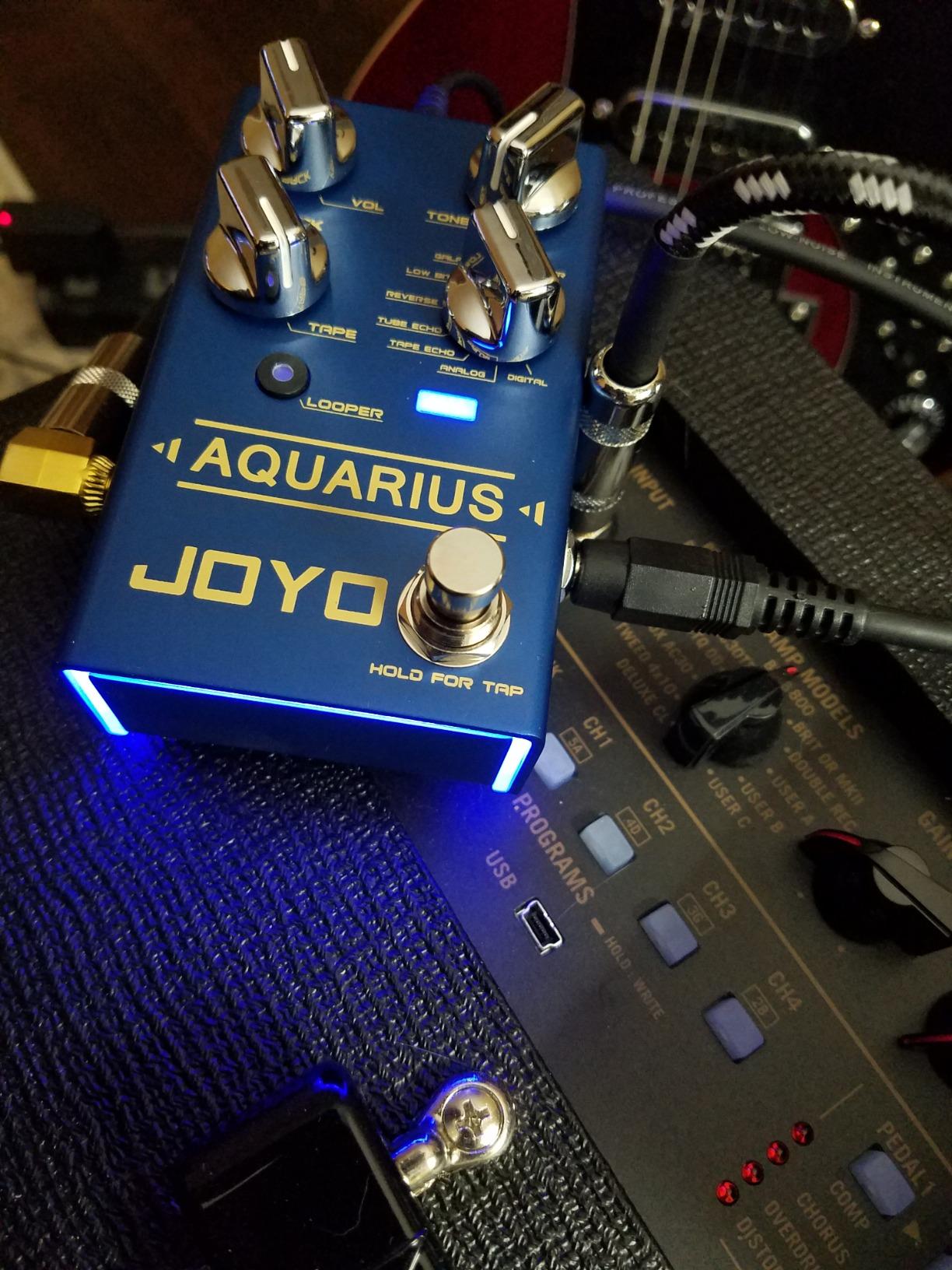 JOYO Multi-Mode Delay & Looper Guitar Pedal, 8 Effects incl. Galaxy/Tape Echo with Tap Tempo & 5-Min Loop (Aquarius R-07) customer photo 2