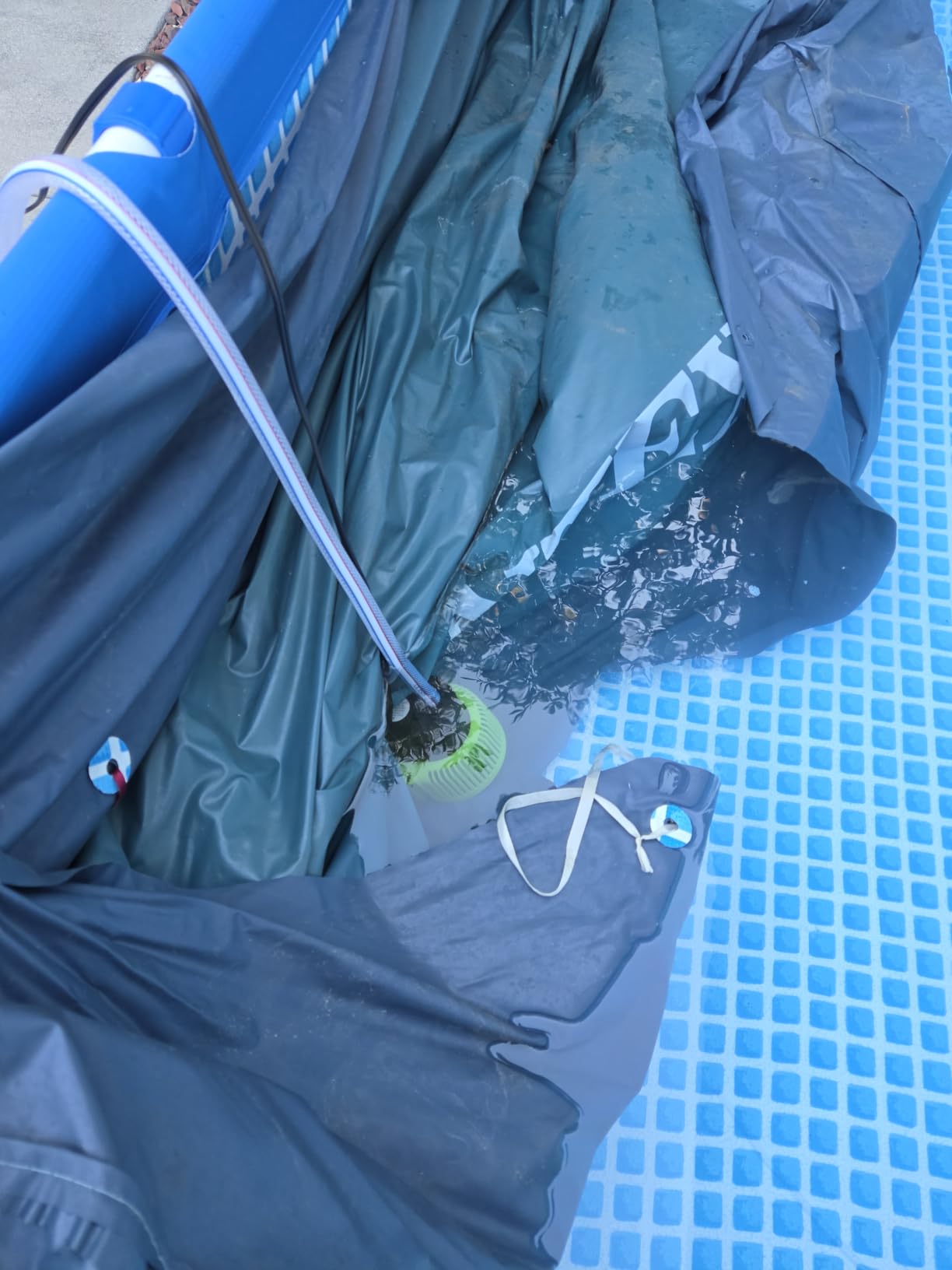 AgiiMan 850GPH Pool Cover Pump, Submersible Sump Pump above Ground customer photo 1