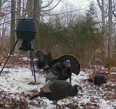 American Hunter 30-Gallon Nesting Hopper Gravity Deer Feeder – Maintenance-Free Tripod Game Feeder customer photo 1