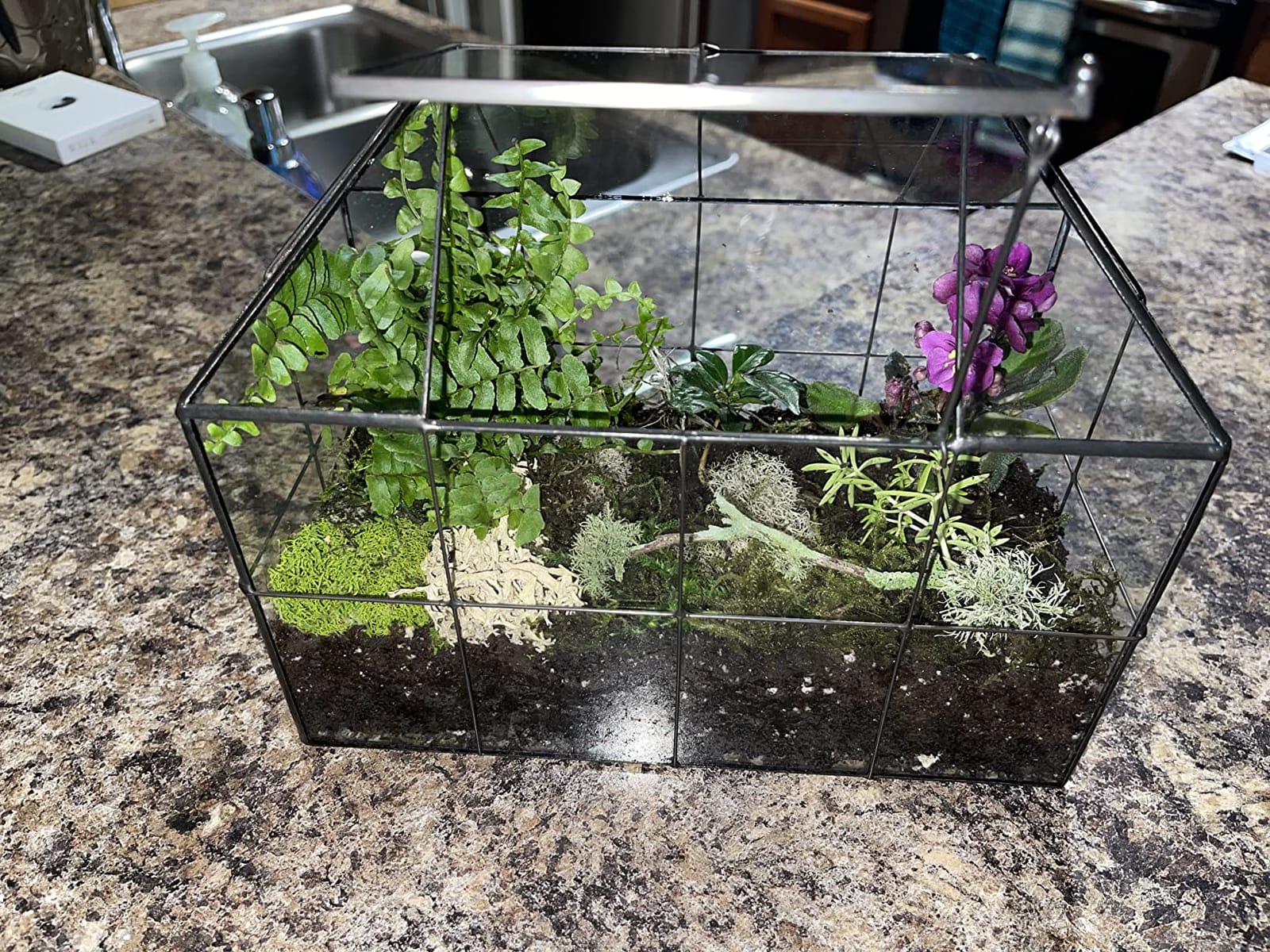 Large Glass Terrarium House Planter – Succulent Plant Terrarium House Shape Glass Greenhouse Terrarium with lid 9.8