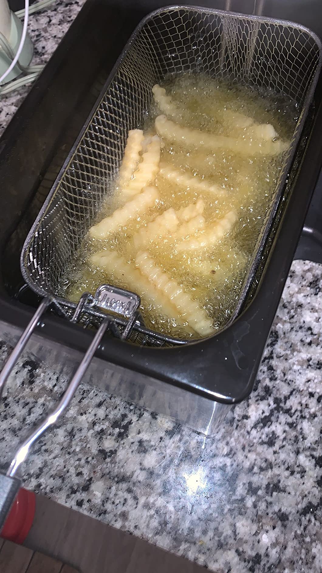 Hamilton Beach Professional Style Electric Deep Fryer With Basket customer photo 2