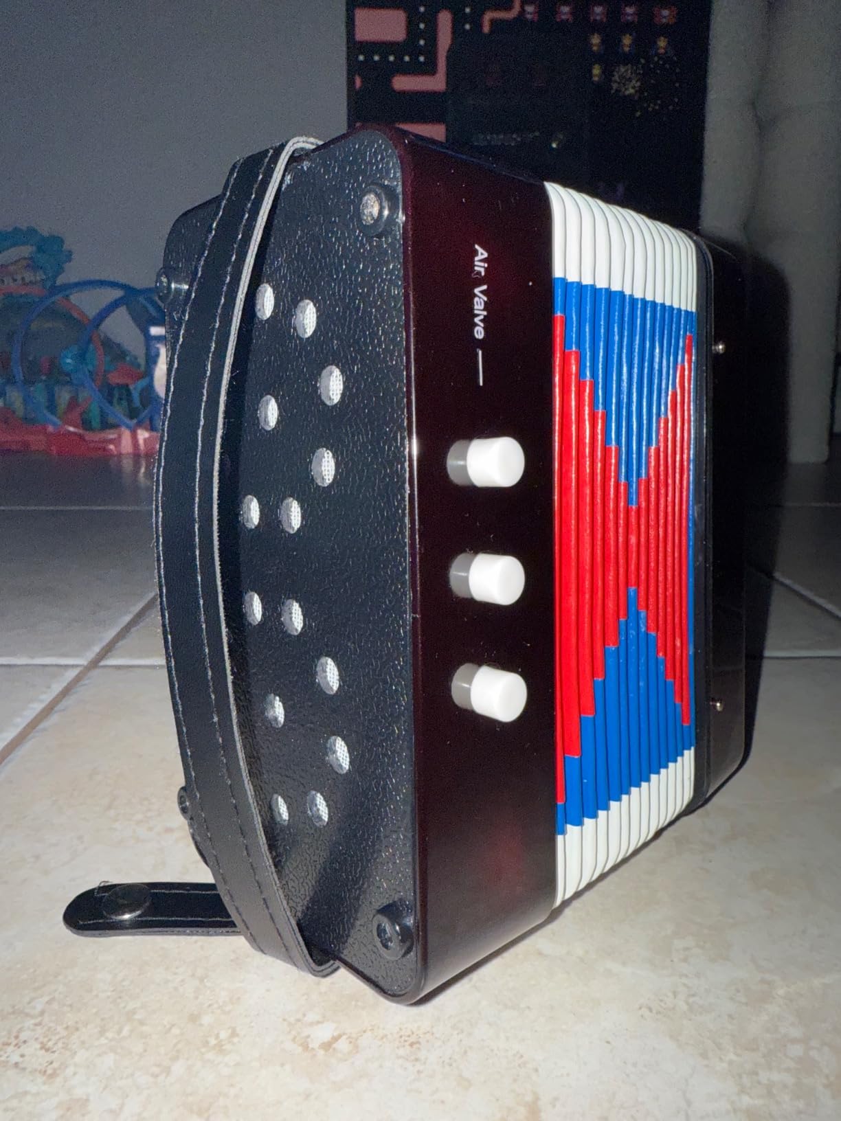 Horse Kids Accordion, 10 Keys Button Control Kid Accordions Musical Instruments for Child Children Toddlers Beginners Accordian Lightweight 7 key 3 Bass Mini Acordeón Toy Acordeones Para Miños Blue customer photo 1