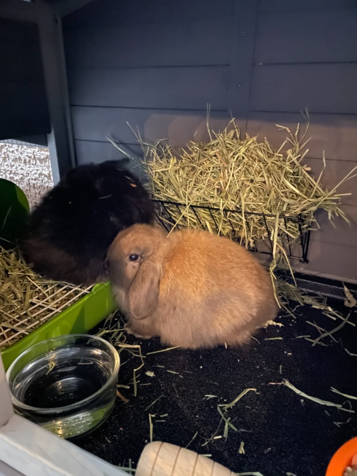 Aivituvin Rabbit Hutch Bunny Hutch Large Rabbit Cage, Indoor Bunny Cages Outdoor Rabbit House (Style2) customer photo 1