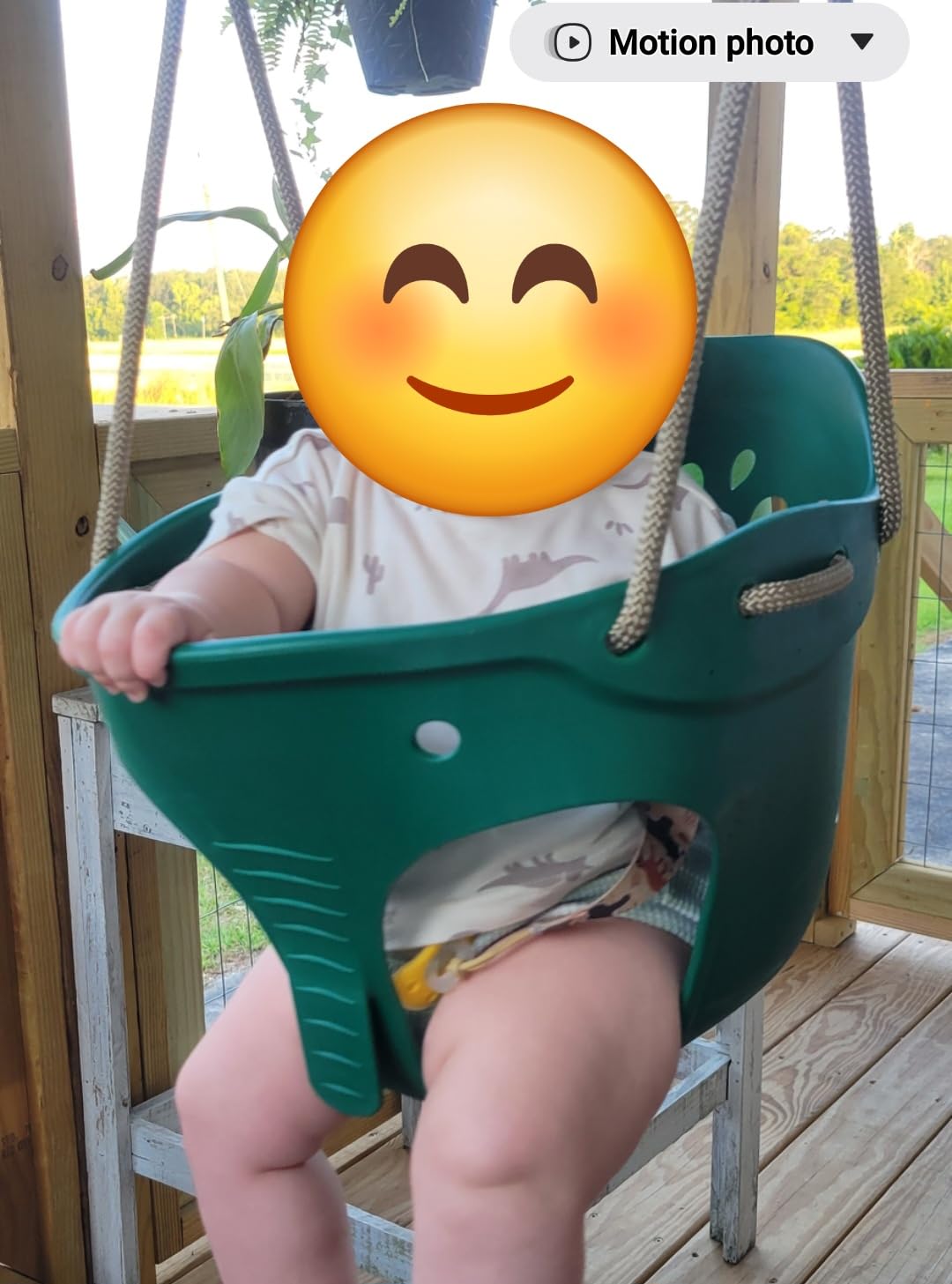 Dolibest Heavy Duty High Back Full Bucket Swing Seat with Locking Carabiners and Adjustable Rope, Cute Elephant Shape Design, 600LB Weight Limit (Bucket Swing, Green) customer photo 1