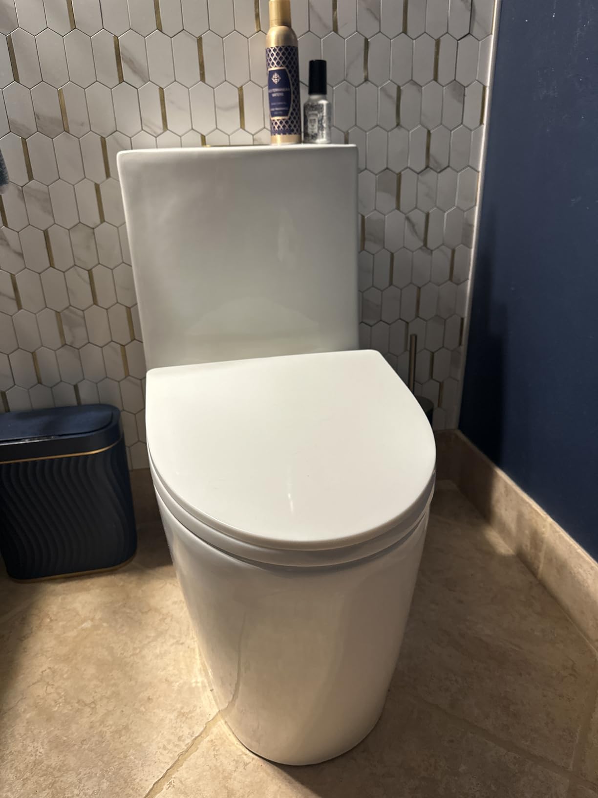 St. Tropez One-Piece Elongated Toilet Vortex Dual-Flush in Matte White 1.1/1.6 gpf customer photo 1