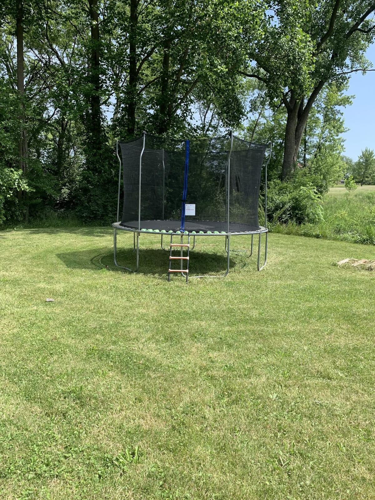 Cliselda Round Trampoline Replacement Safety Net for 6 Straight Poles customer photo 2