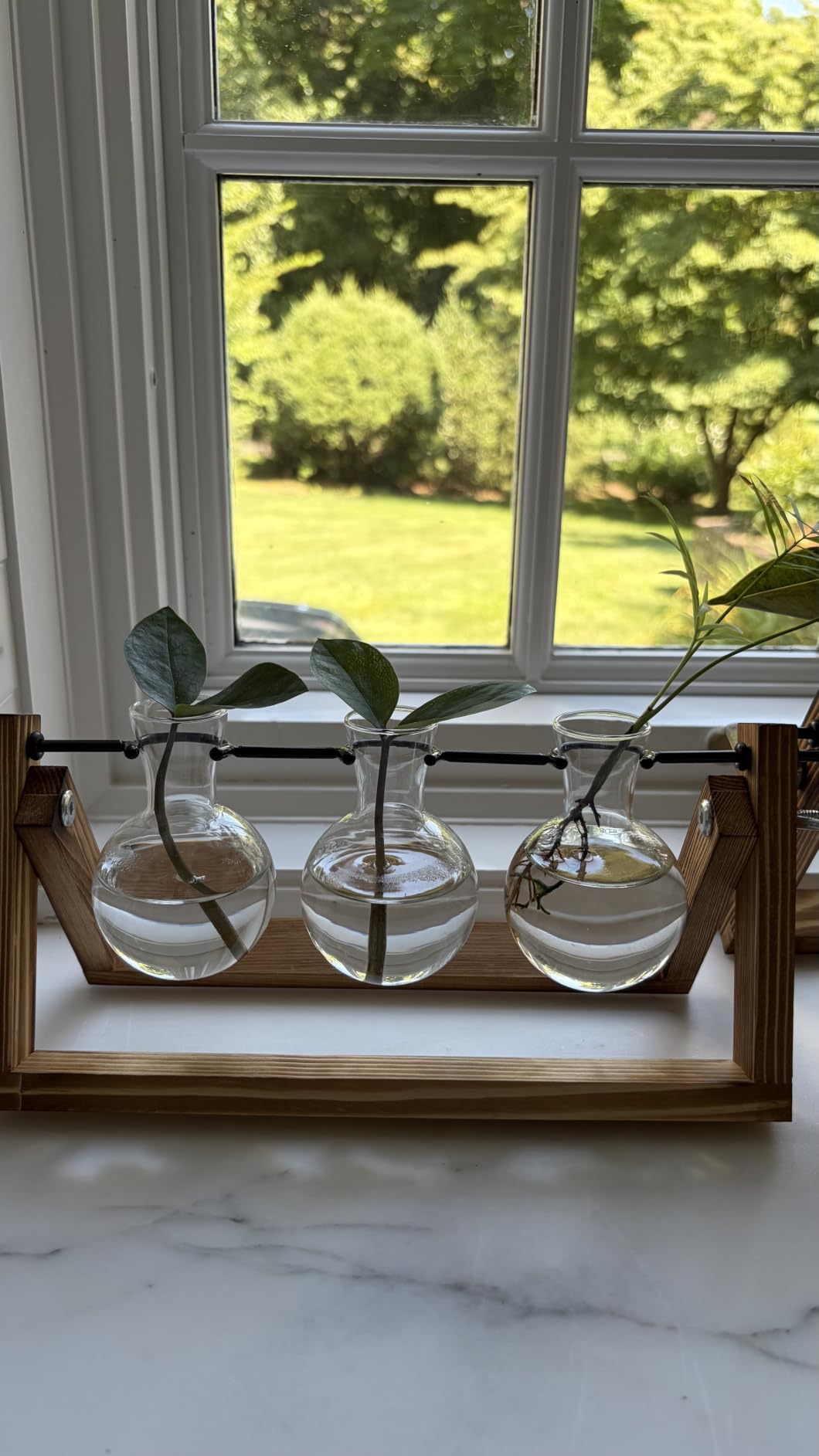 Renmxj Plant Propagation Station, Plant Terrarium with Wooden Stand customer photo 1