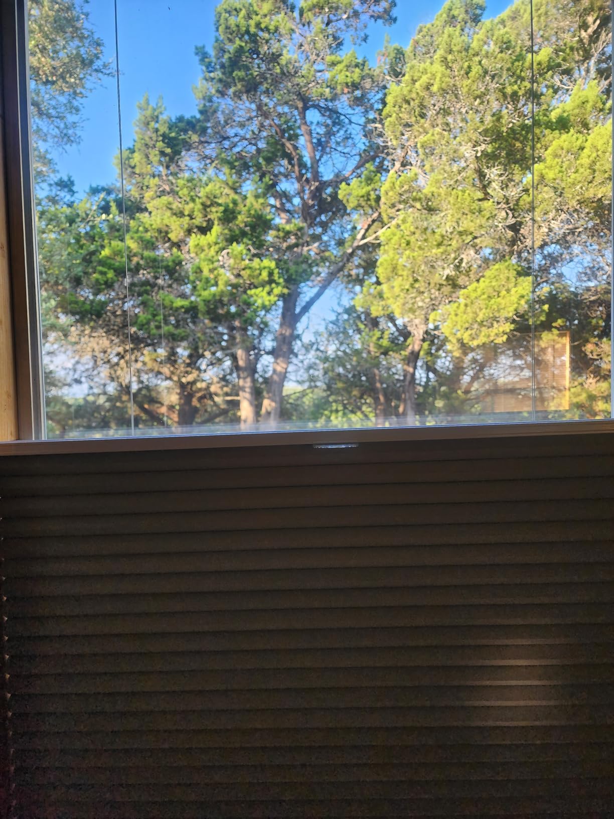 MYshade Top Down Bottom Up Shades Light Filtering Shade Cordless Blinds for Indoor Windows Honeycomb Cellular Sheer Window Blinds & Shades Easy to Install 34