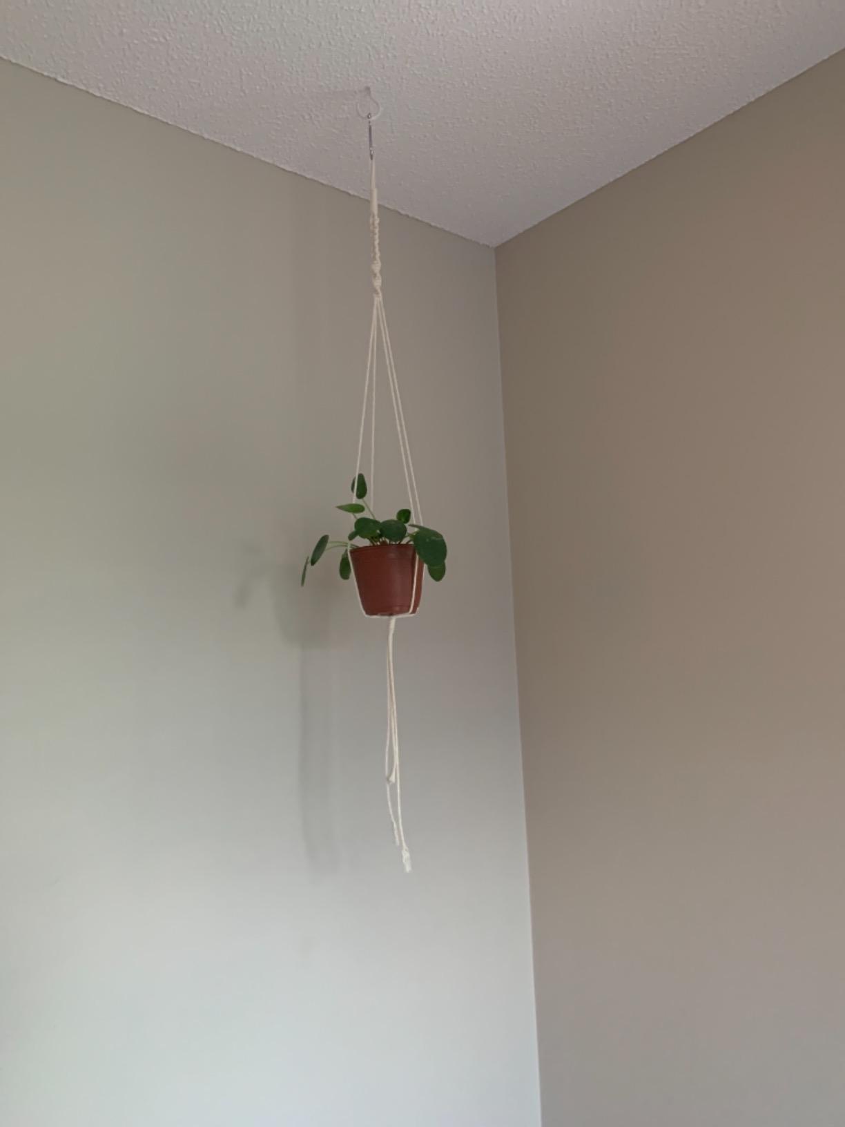 152pcs Macrame Kit for Beginners: Natural Cotton Macrame Cord, Wooden & Metal Rings, Beads, Sticks & Hoops - Perfect for Macrame Plant Hangers & Home Decor customer photo 1