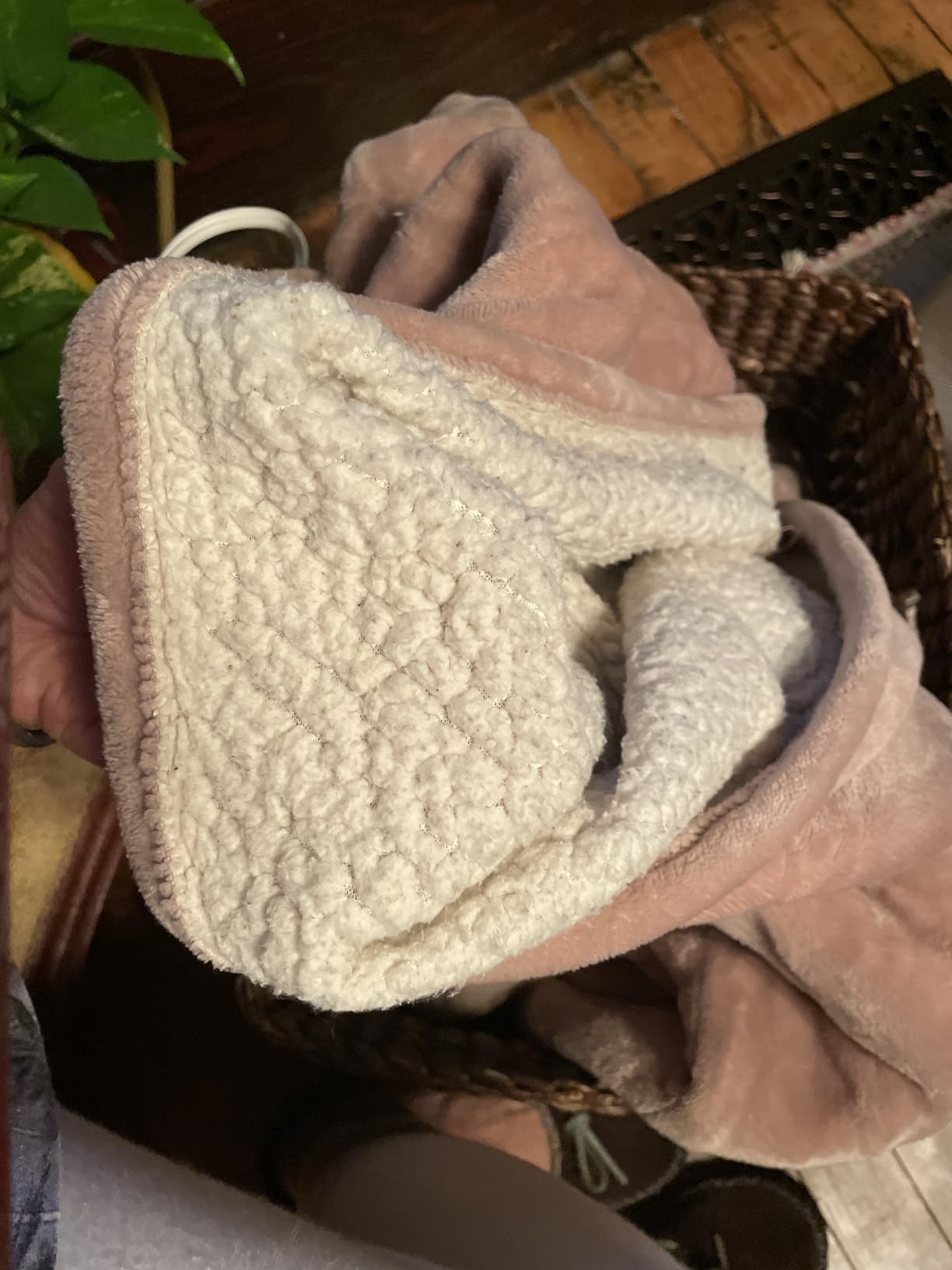 GOTCOZY Heated Blanket-Soft Plush Electric Blanket 50