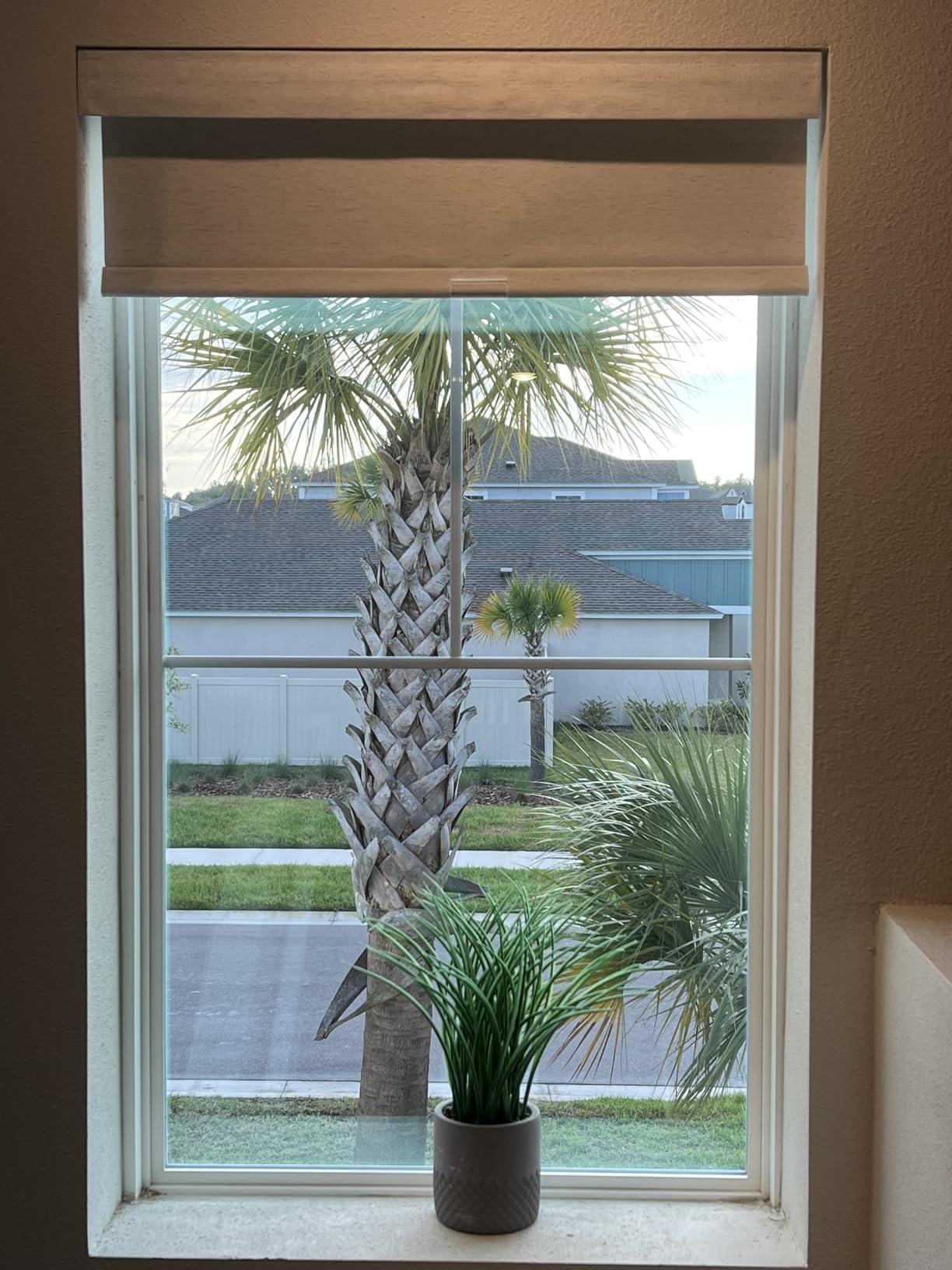 Boolegon Cordless Blackout Roller Shades for Windows, Black, Custom Size customer photo 1