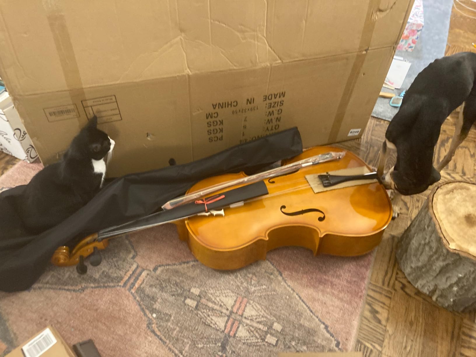Ktaxon Full-Size Cello, Beginner Cello 4/4, Acoustic Cello Kit customer photo 2