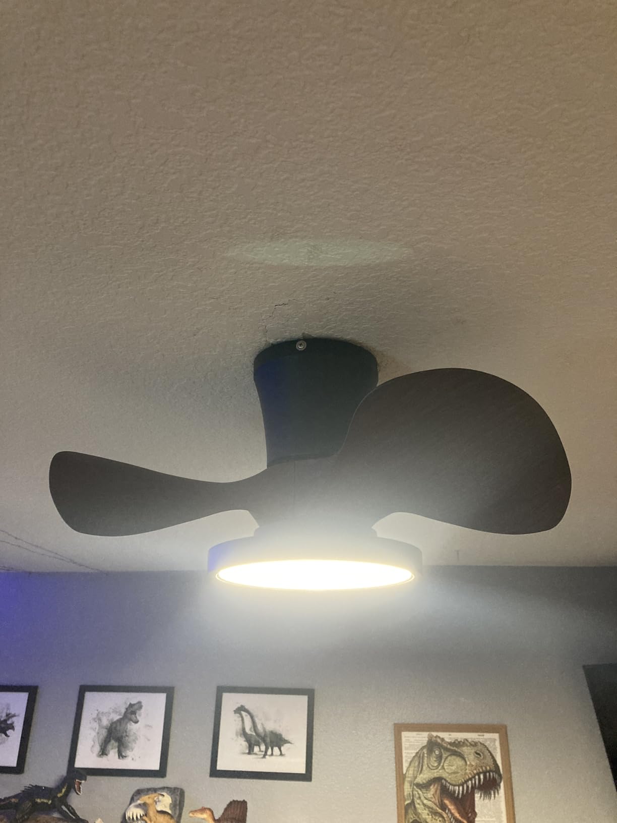 ocioc Quiet Ceiling Fan with LED Light DC Motor 32 inch Large Air Volume Remote Control White for Kitchen Bedroom Dining Room Patio customer photo 1