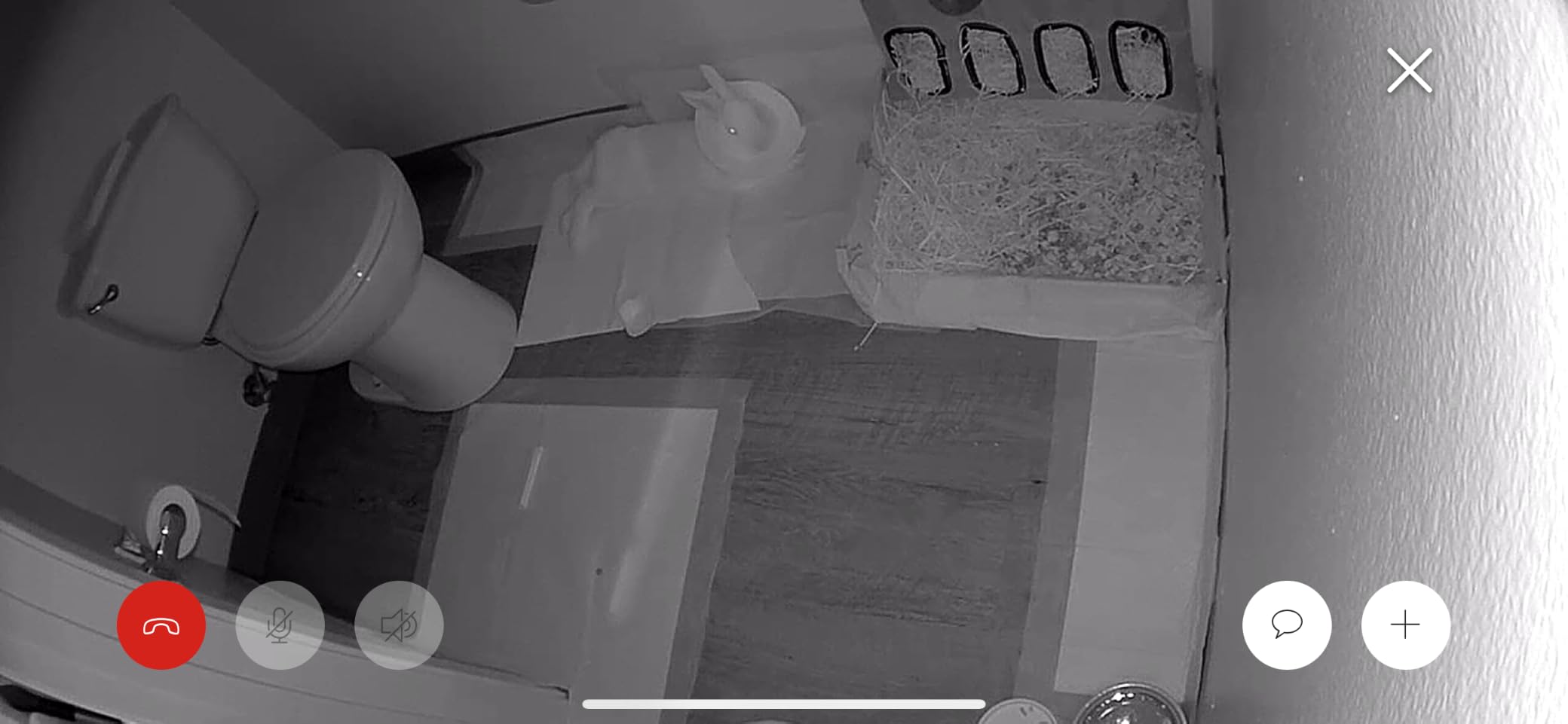 Ring Indoor Cam (newest model) - Home or business security in 1080p HD video, Black customer photo 1