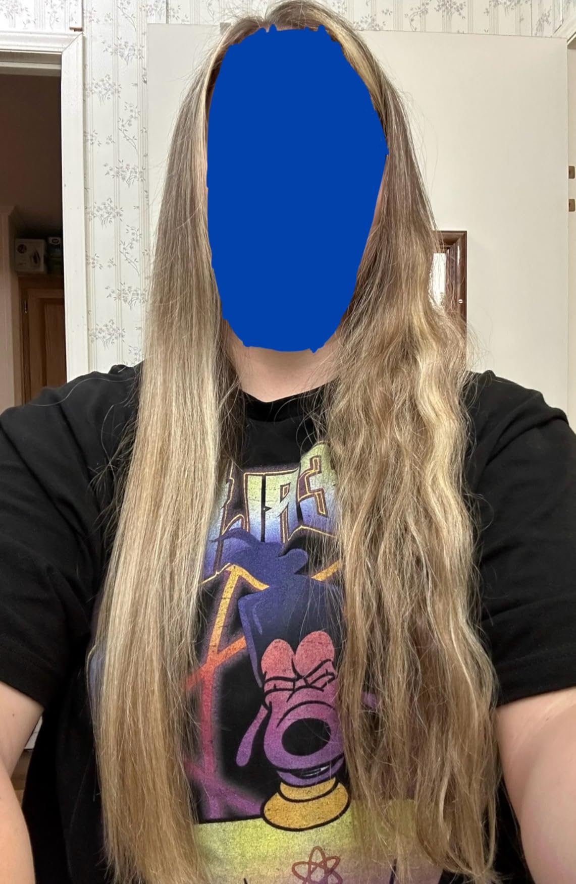 LANDOT Ionic Hair Straightening Brush - Straight & Shiny Home Salon Results customer photo 1