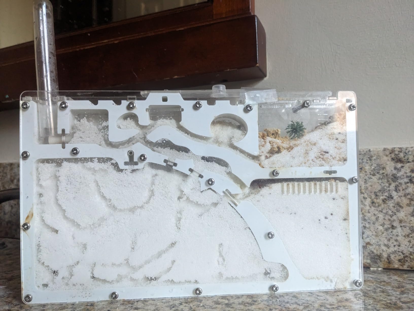 Ant Farm Kit for Kids, Large Ant Farm with Sand, Ant Colony Observation Kit customer photo 1