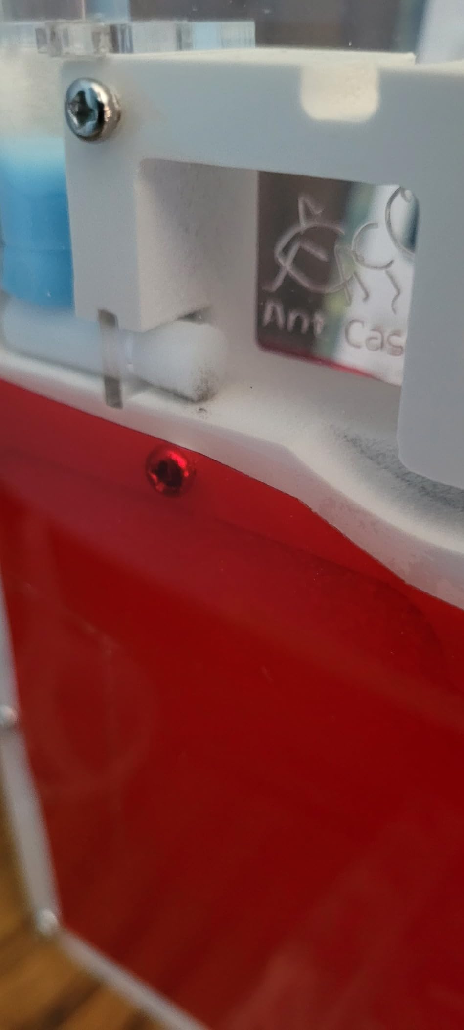 Ant Farm Kit for Kids, Large Ant Farm with Sand, Ant Colony Observation Kit customer photo 2
