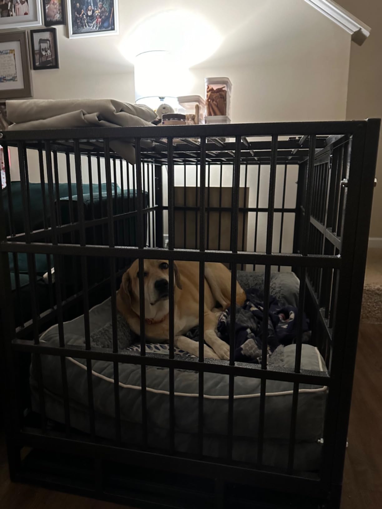 Hiwokk 48 Inch Heavy Duty Dog Crate, Indestructible Kennel for Large Dogs | 38-96