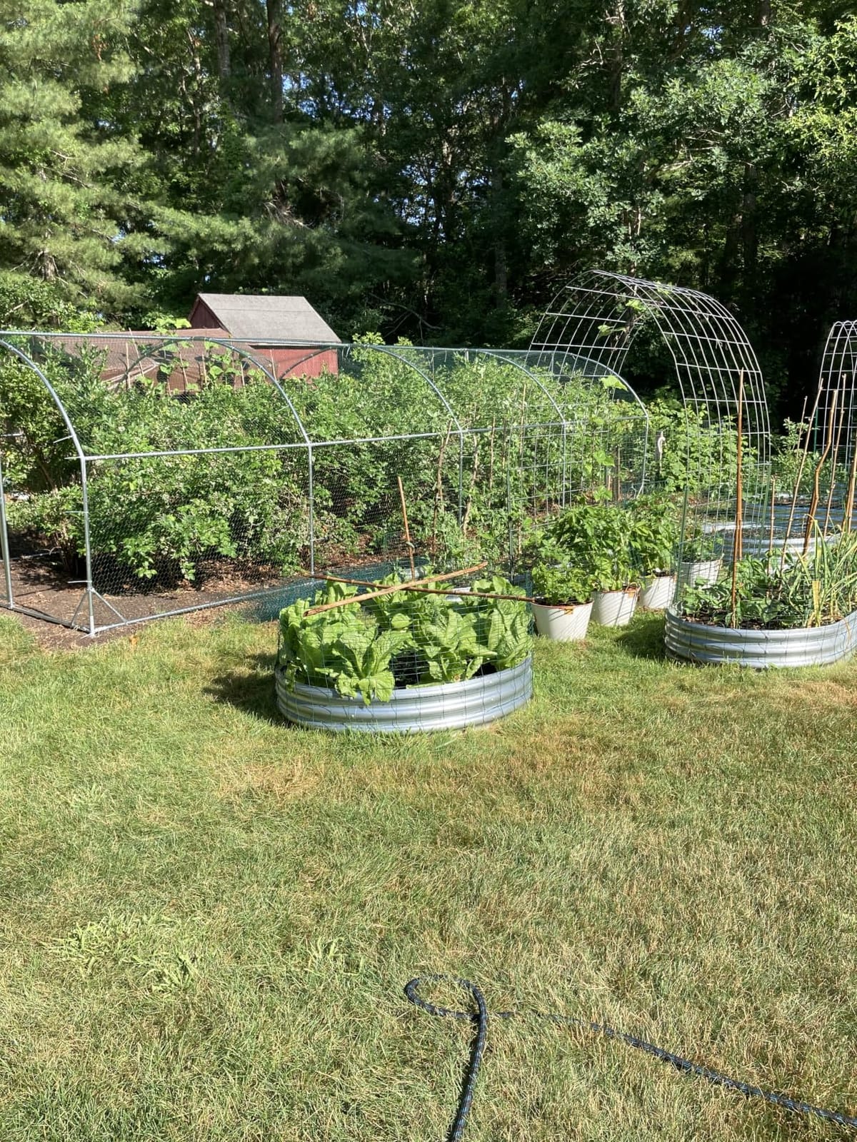 Large Metal Chicken Coop Round Top Upgrade Tri-Supporting Wire Mesh Chicken Run,Chicken Pen with Water-Resident and Anti-UV Cover,Duck Rabbit House Outdoor (13'L x 9'W x 6.5'H) customer photo 2