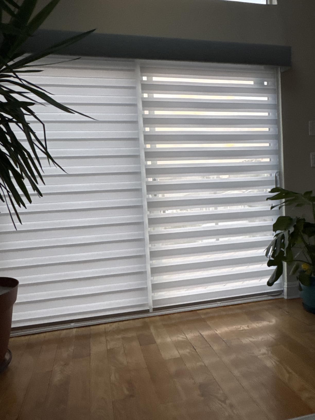 Persilux Cordless Zebra Blinds for Windows Free-Stop Roller Window Shades (22
