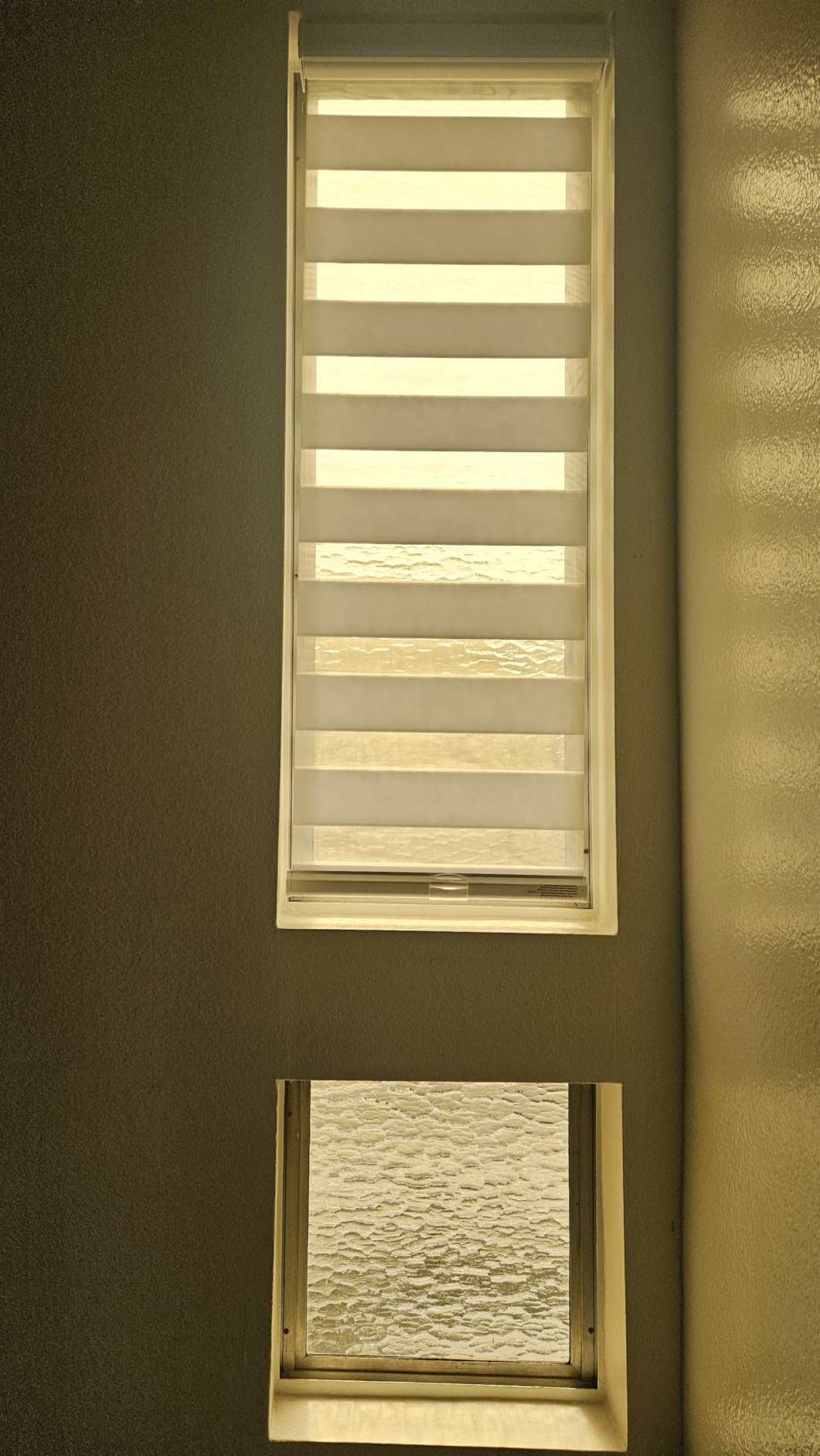 Persilux Cordless Zebra Blinds for Windows Free-Stop Roller Window Shades (22