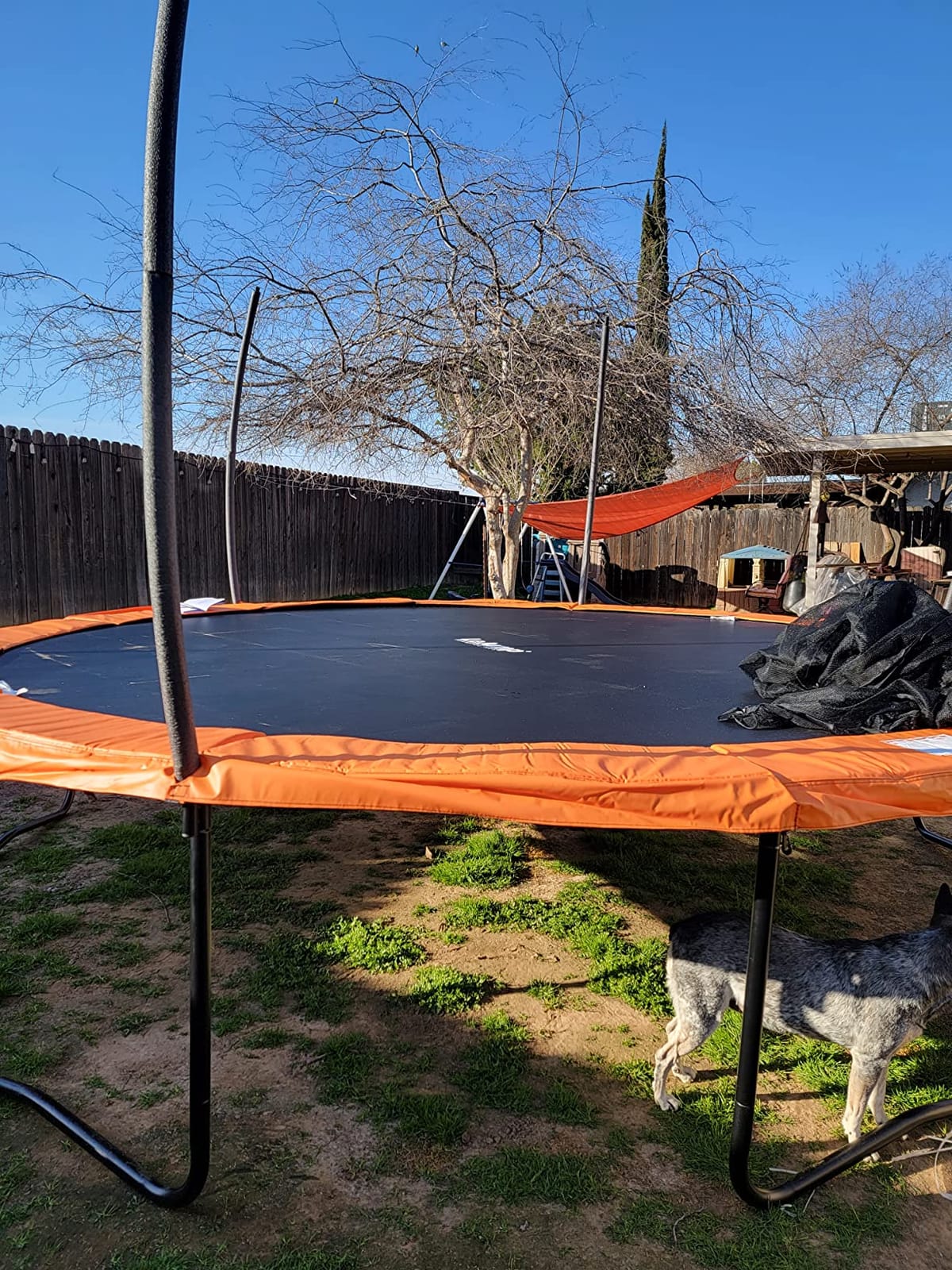 LeJump 10/12/14FT Springless Outdoor Trampoline, ASTM Approved Trampoline customer photo 1