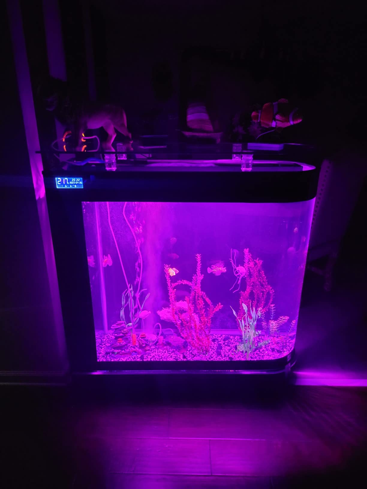 Black Fish Tank 124Gal LED Aquarium Kit Upright Fish Tank Large Glass Fishbowl Glsaa Bar for Patios Living Office Room and Kitchen customer photo 2