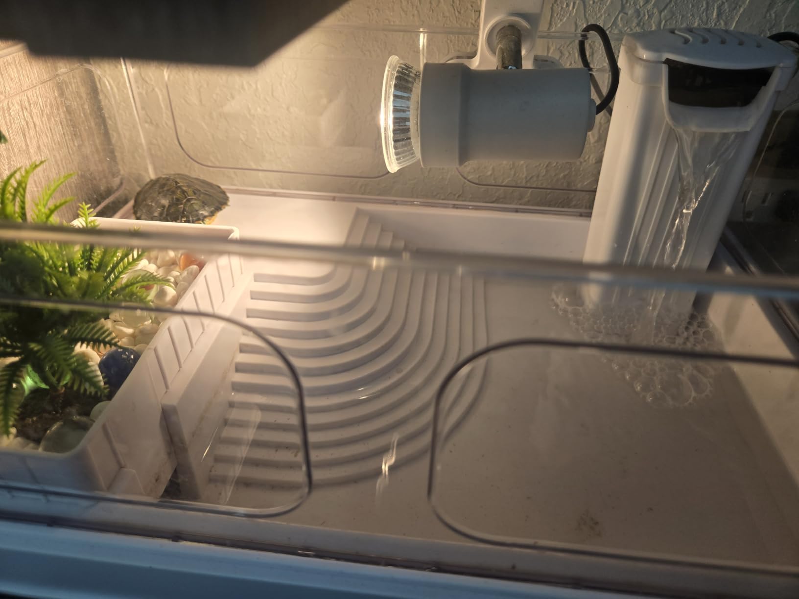 MoonOrange Small Turtle Tank Kit(Tank+Light+Filter), Acrylic Turtle Tank Starter Kit with Bask Platform, Bottom Drain, Multi-Function Area for Small Reptiles.(White) customer photo 1