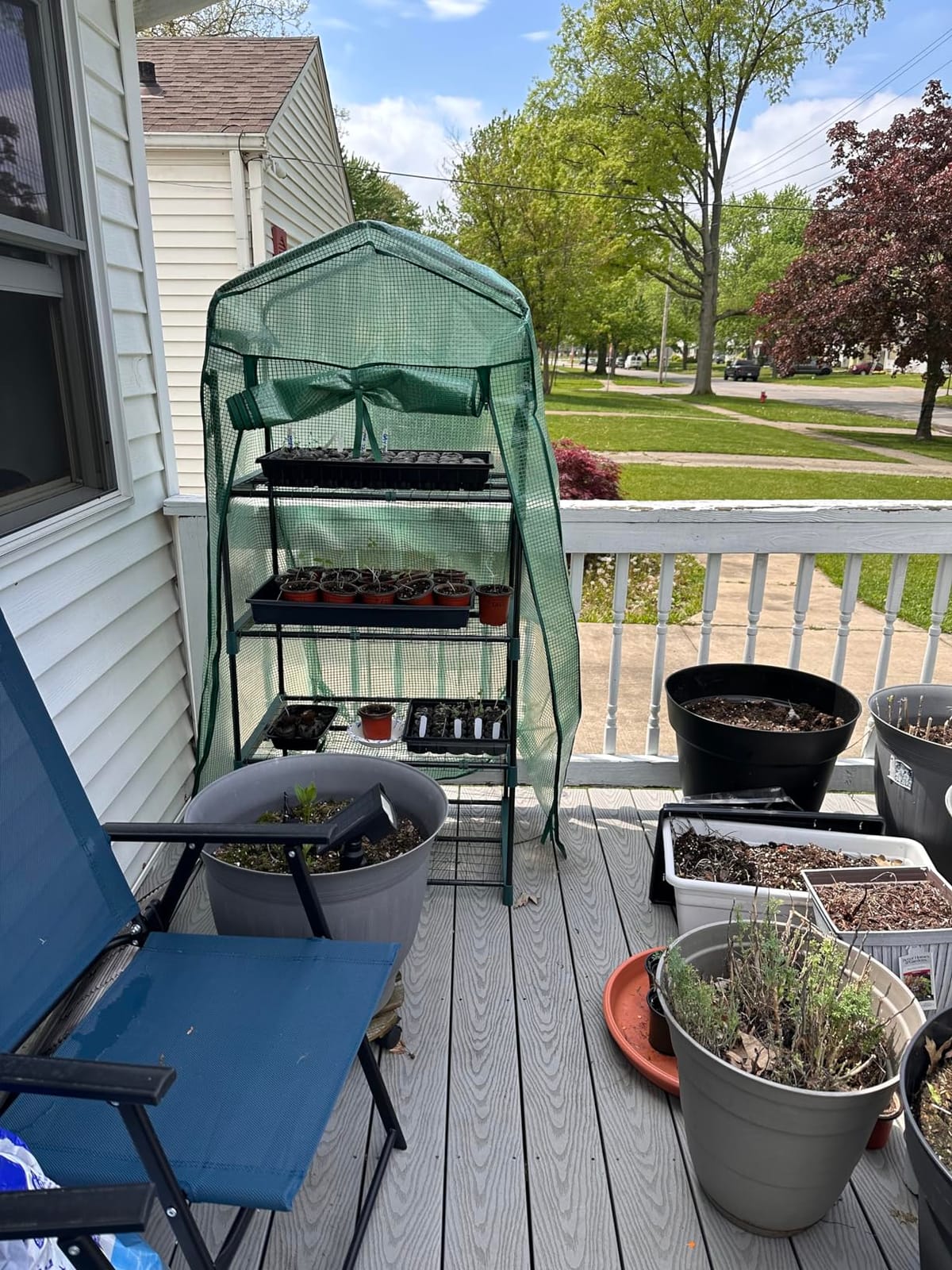 Mini Greenhouse for Outdoors Indoor: 27 x 19 x 62-Inch Ohuhu Small Green House with 4 Tier Shelves, Portable Plastic Greenhouses with Heavy Duty Transparent PVC Cover for Seedling Patio Porch Balcony customer photo 1